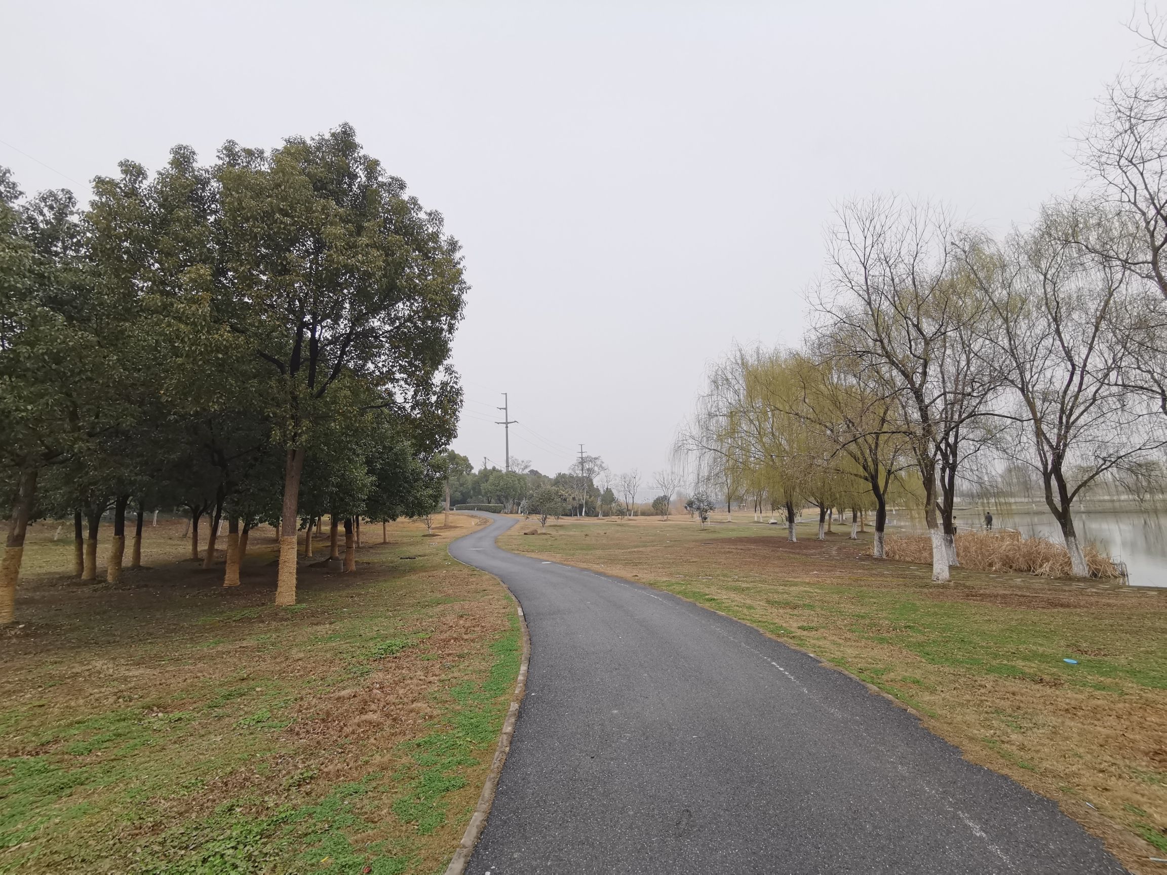 莲花公园旅行图片 2