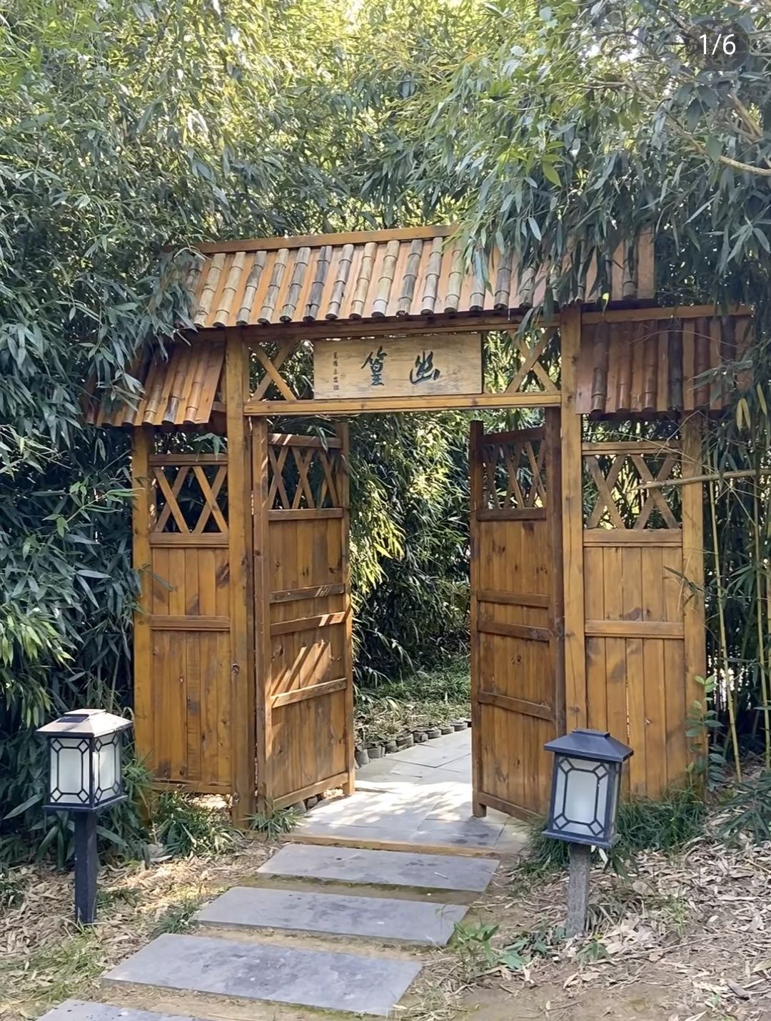 淇澳翠境园旅行图片 1