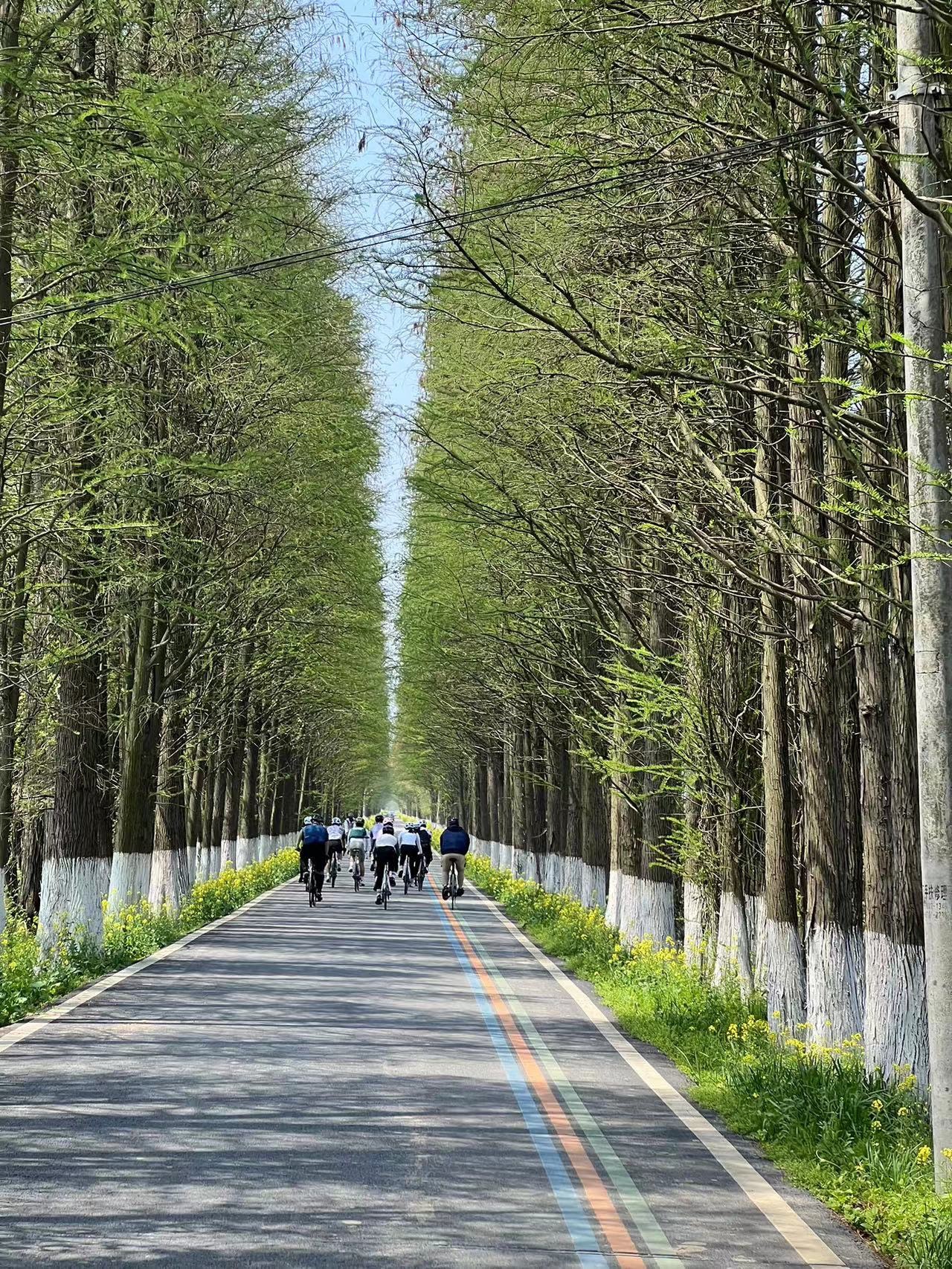 南昌五星知青公园旅行图片 1