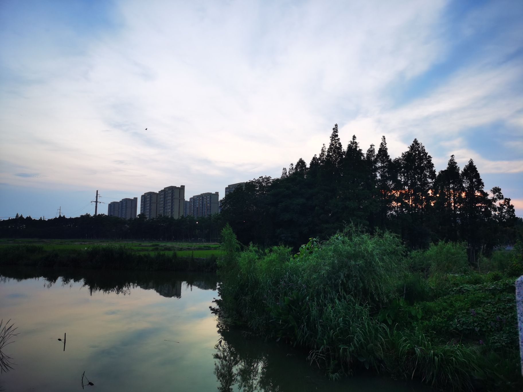 印溪生态湿地公园旅行图片 1