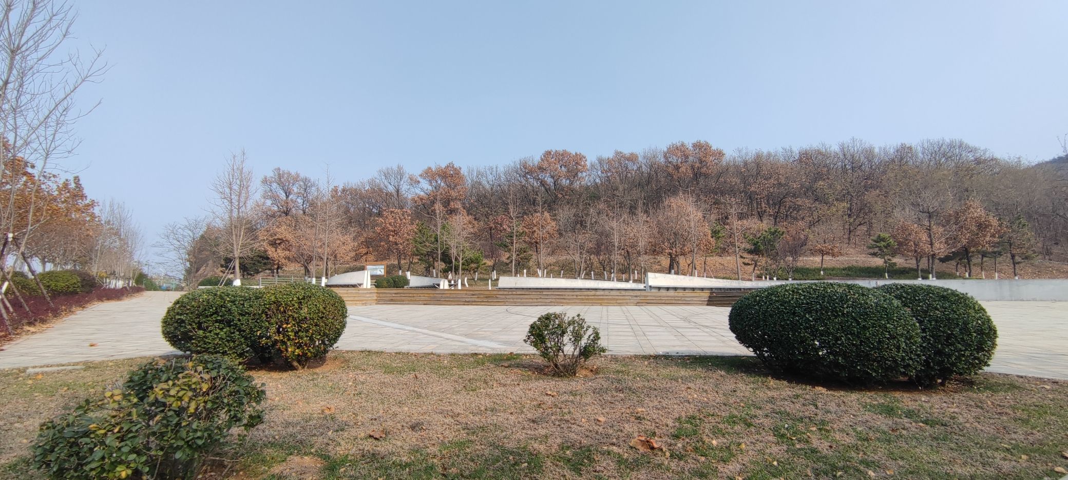 太山公园旅行图片 1