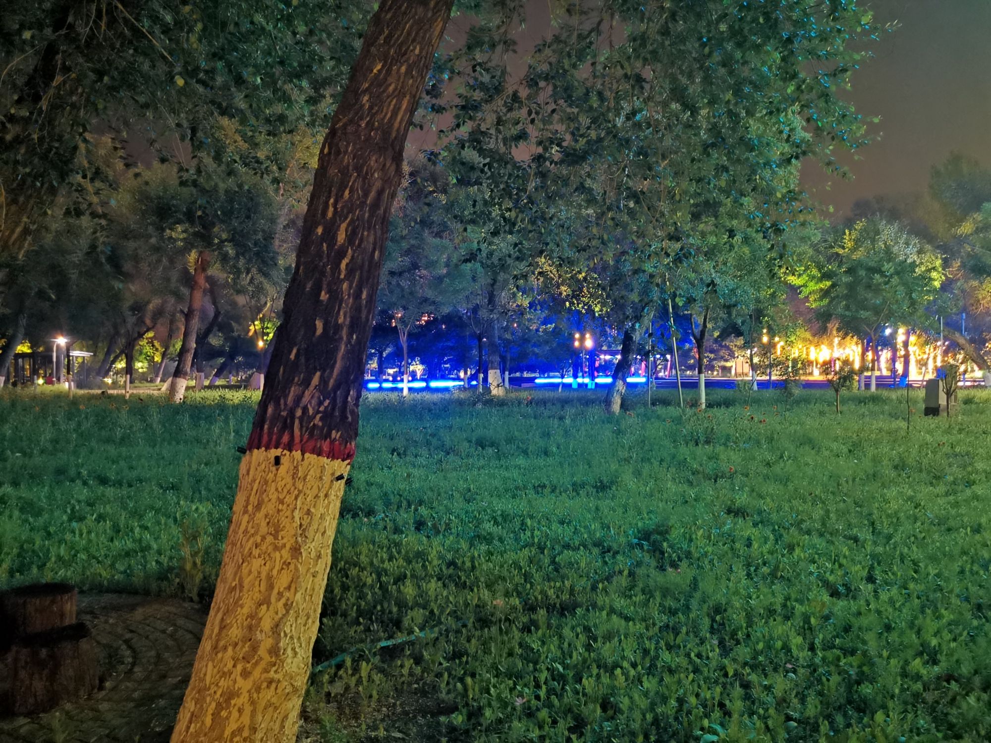 东湖湾水岸公园旅行图片 3