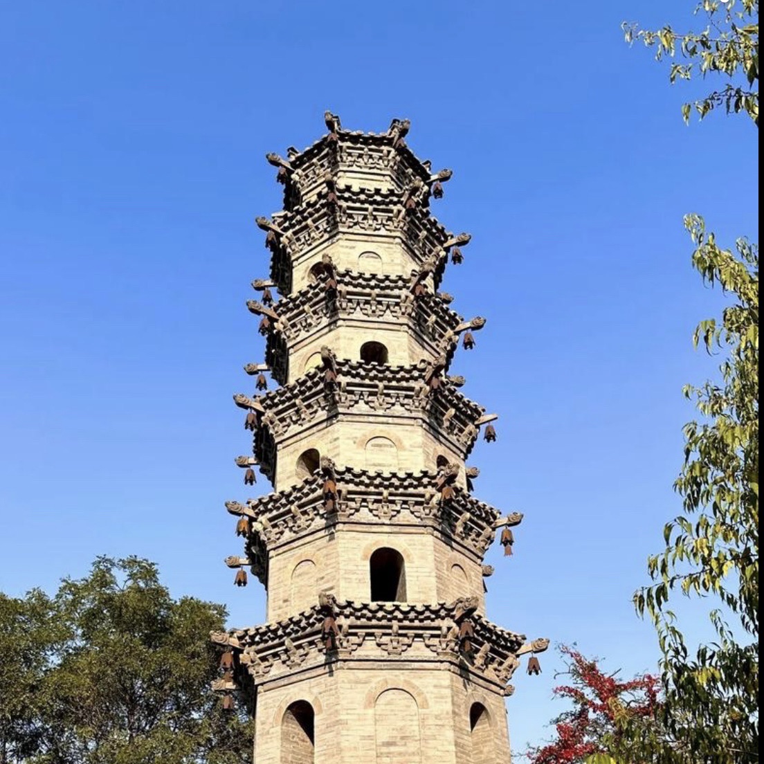 府文庙旅行图片 1