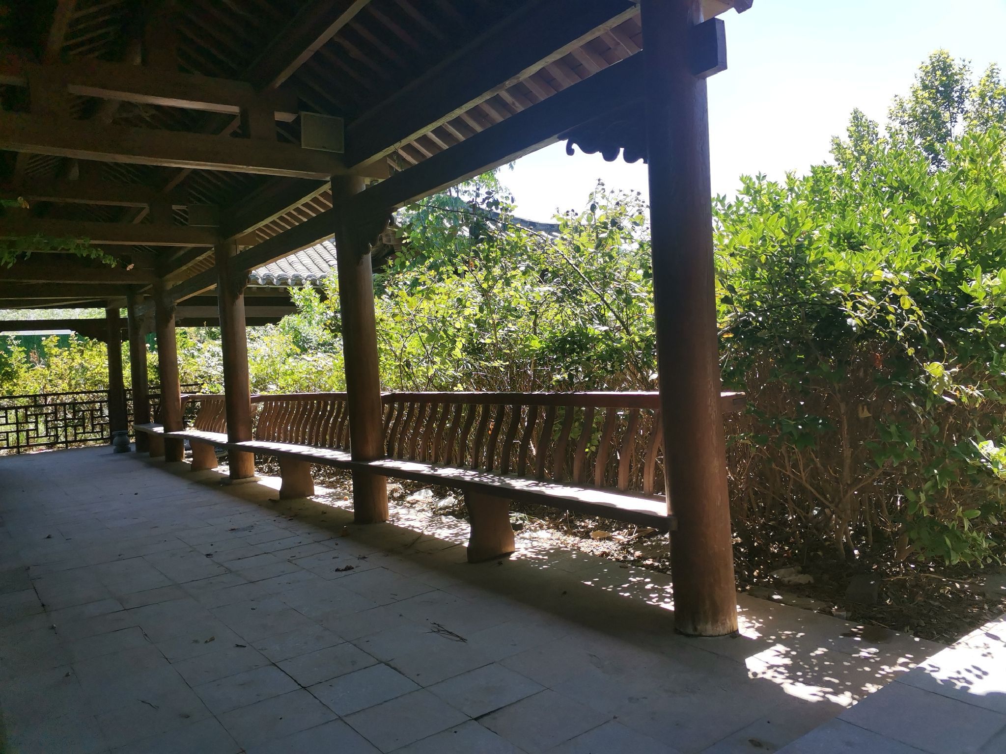 府文庙旅行图片 2
