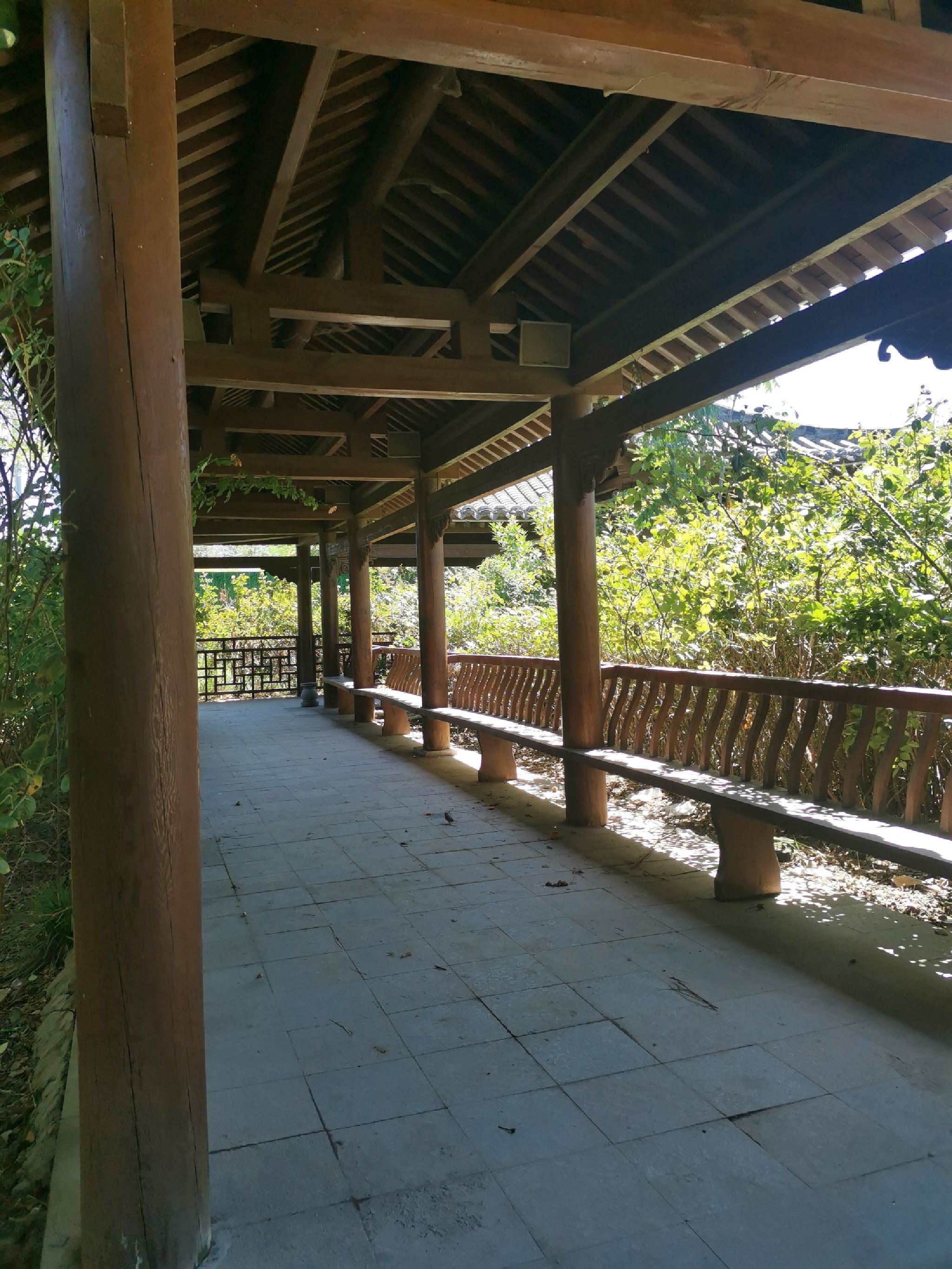府文庙旅行图片 1