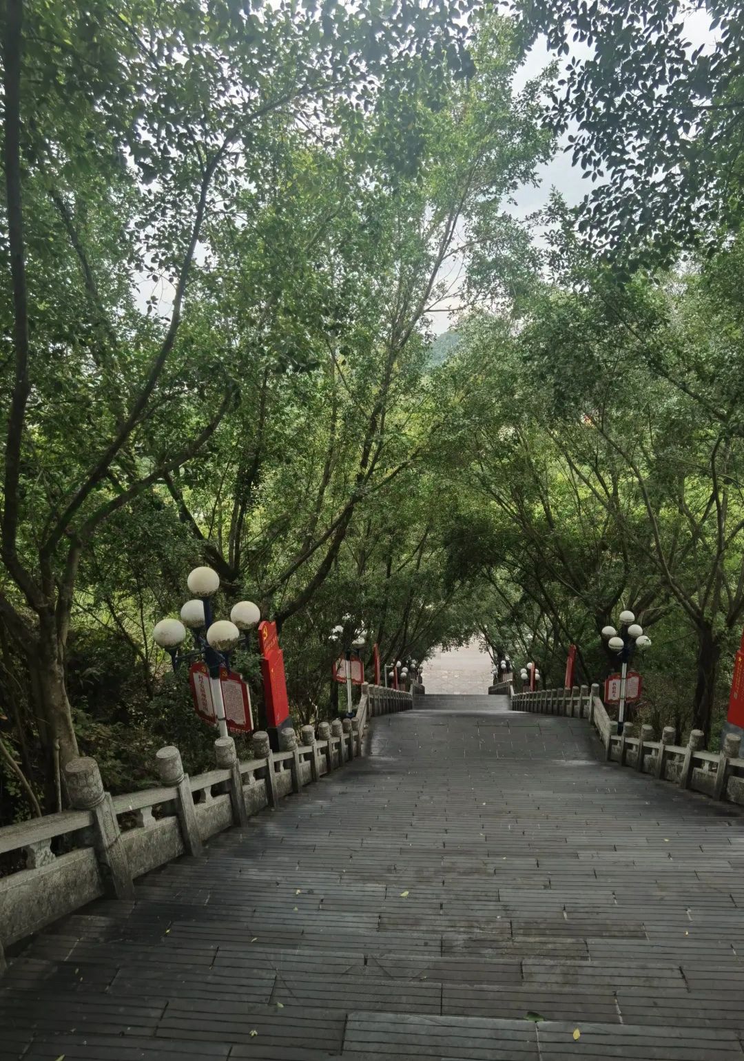 平果市邓公山旅行图片 2