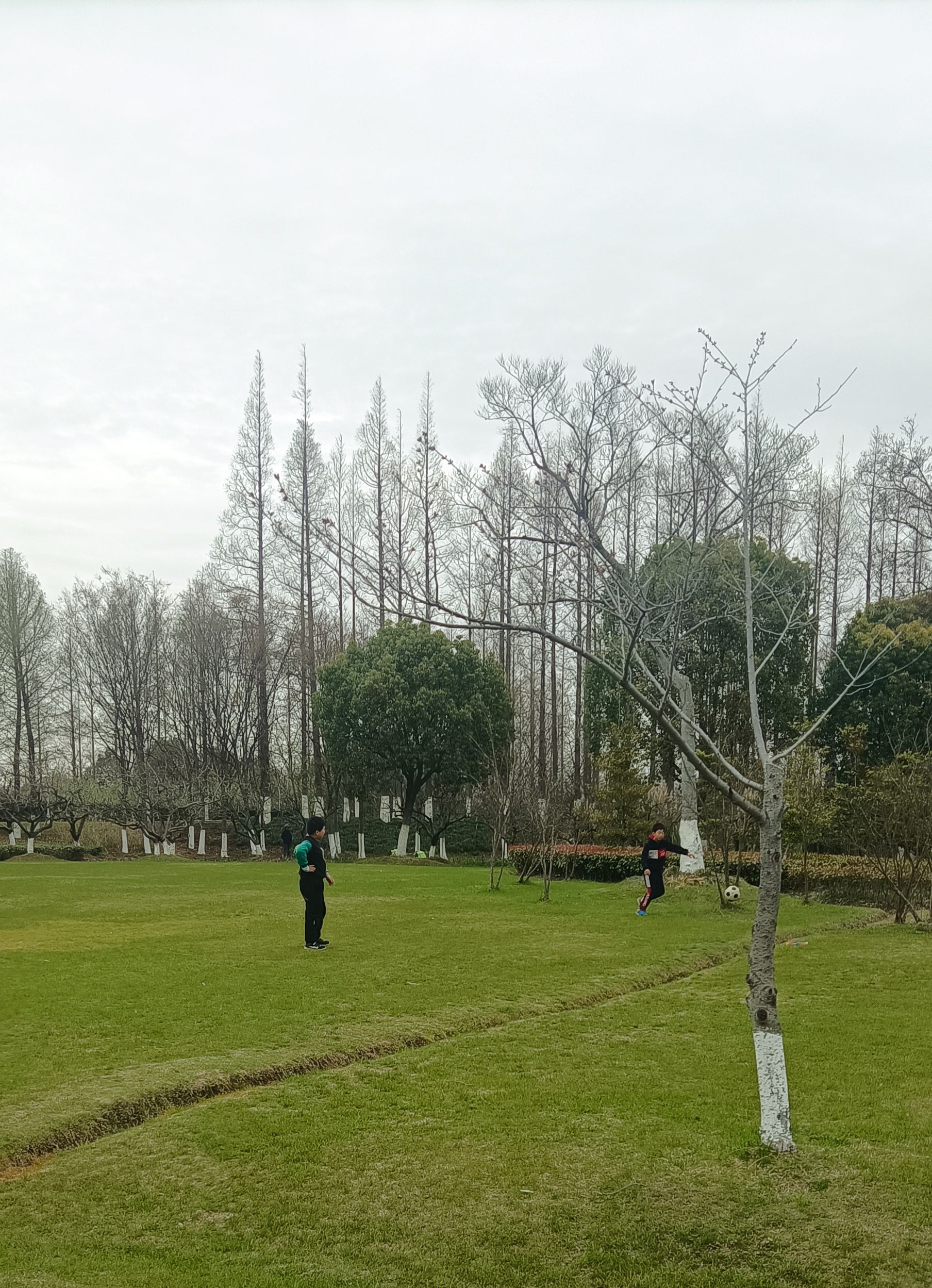 七浦塘生态公园旅行图片 3