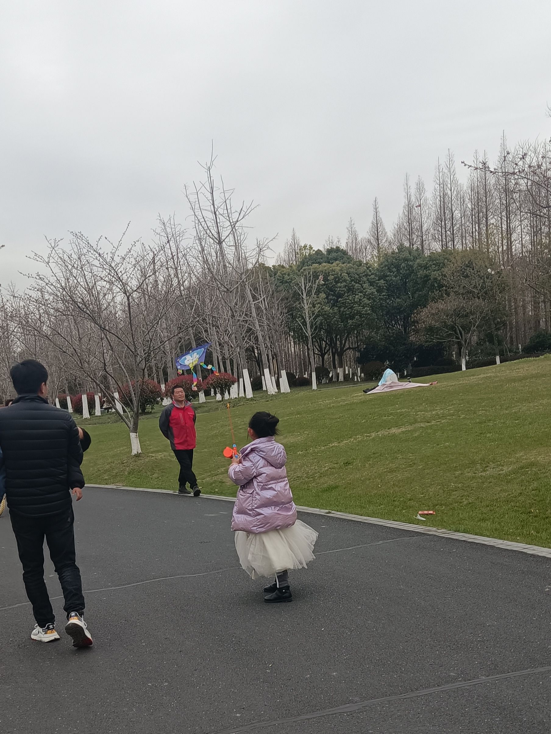 七浦塘生态公园旅行图片 1