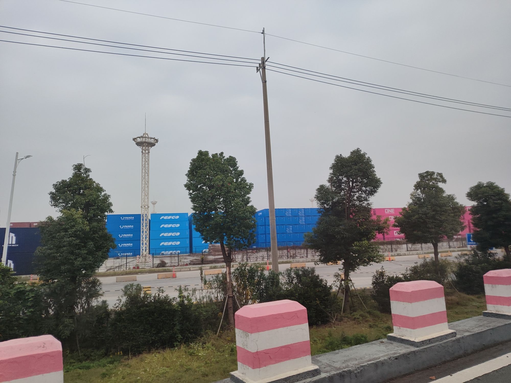 七浦塘生态公园旅行图片 2