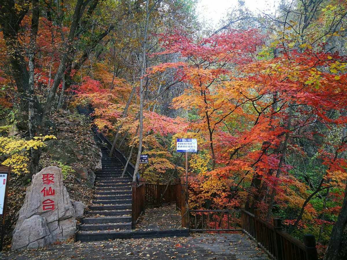 天女山森林公园旅行图片 3