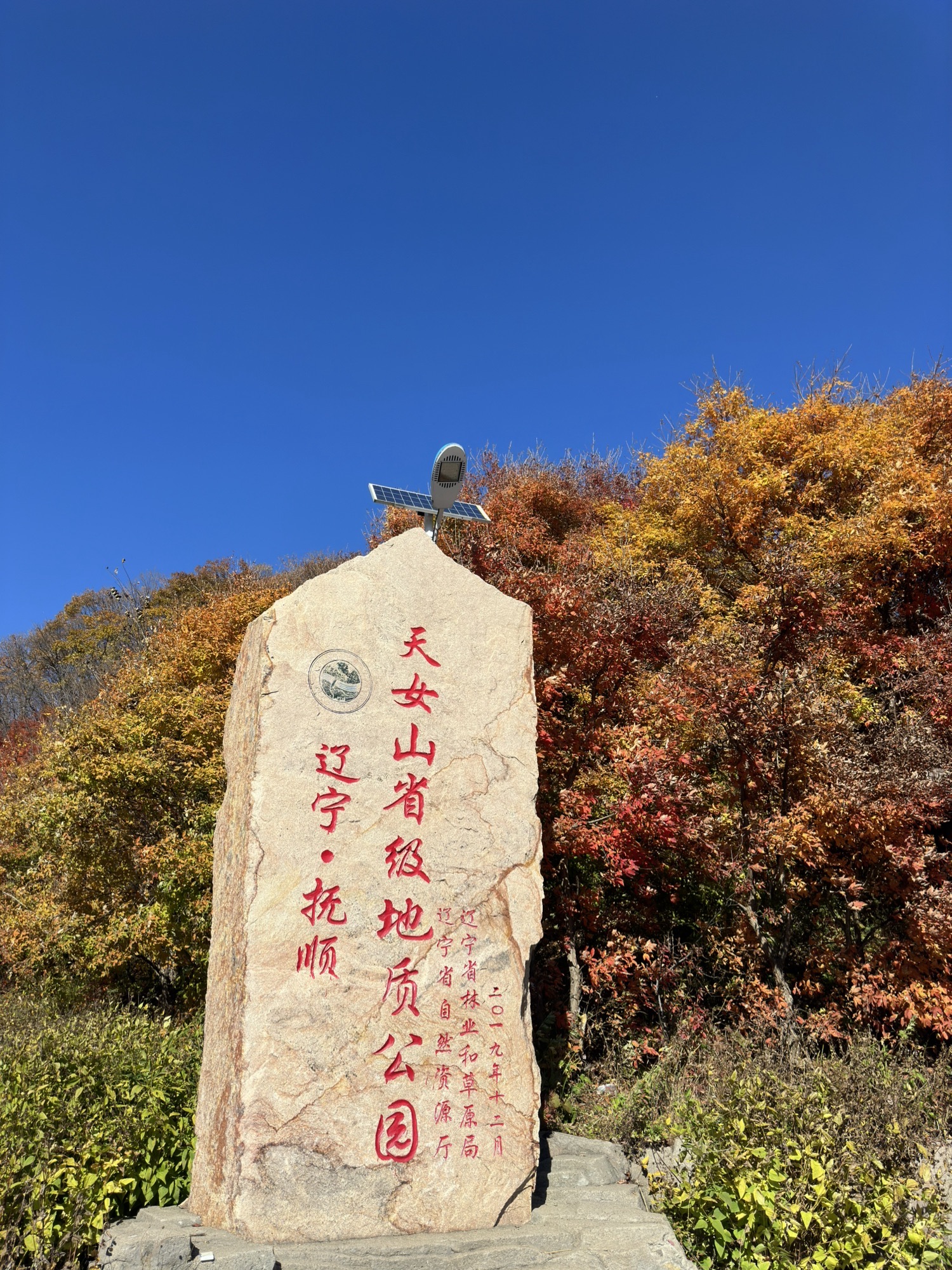 天女山森林公园旅行图片 1