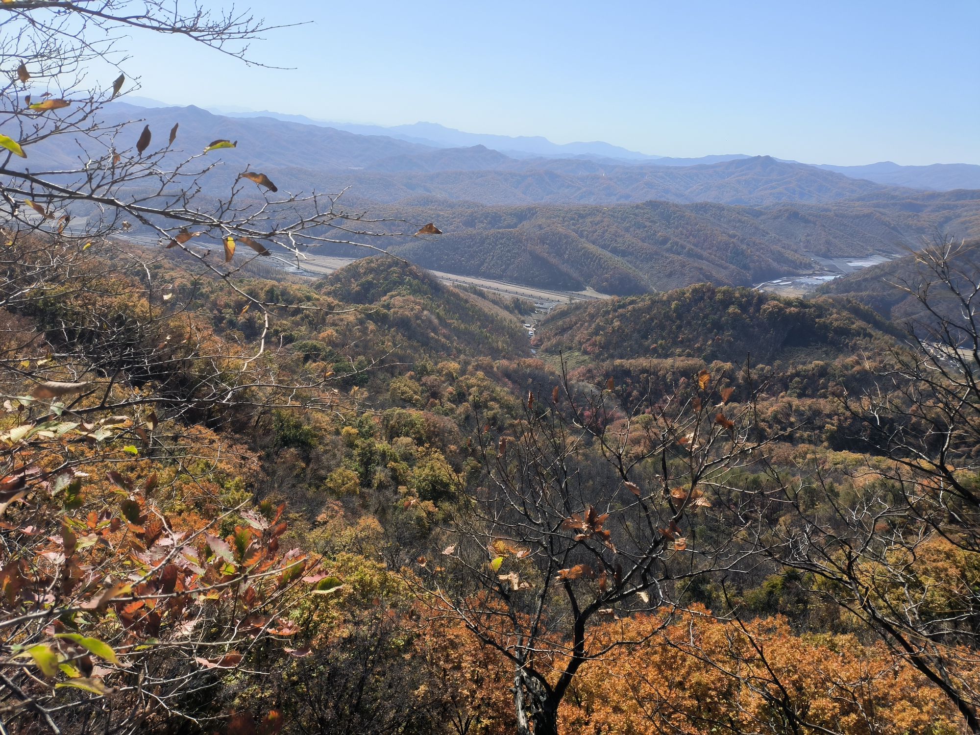 天女山森林公园旅行图片 2