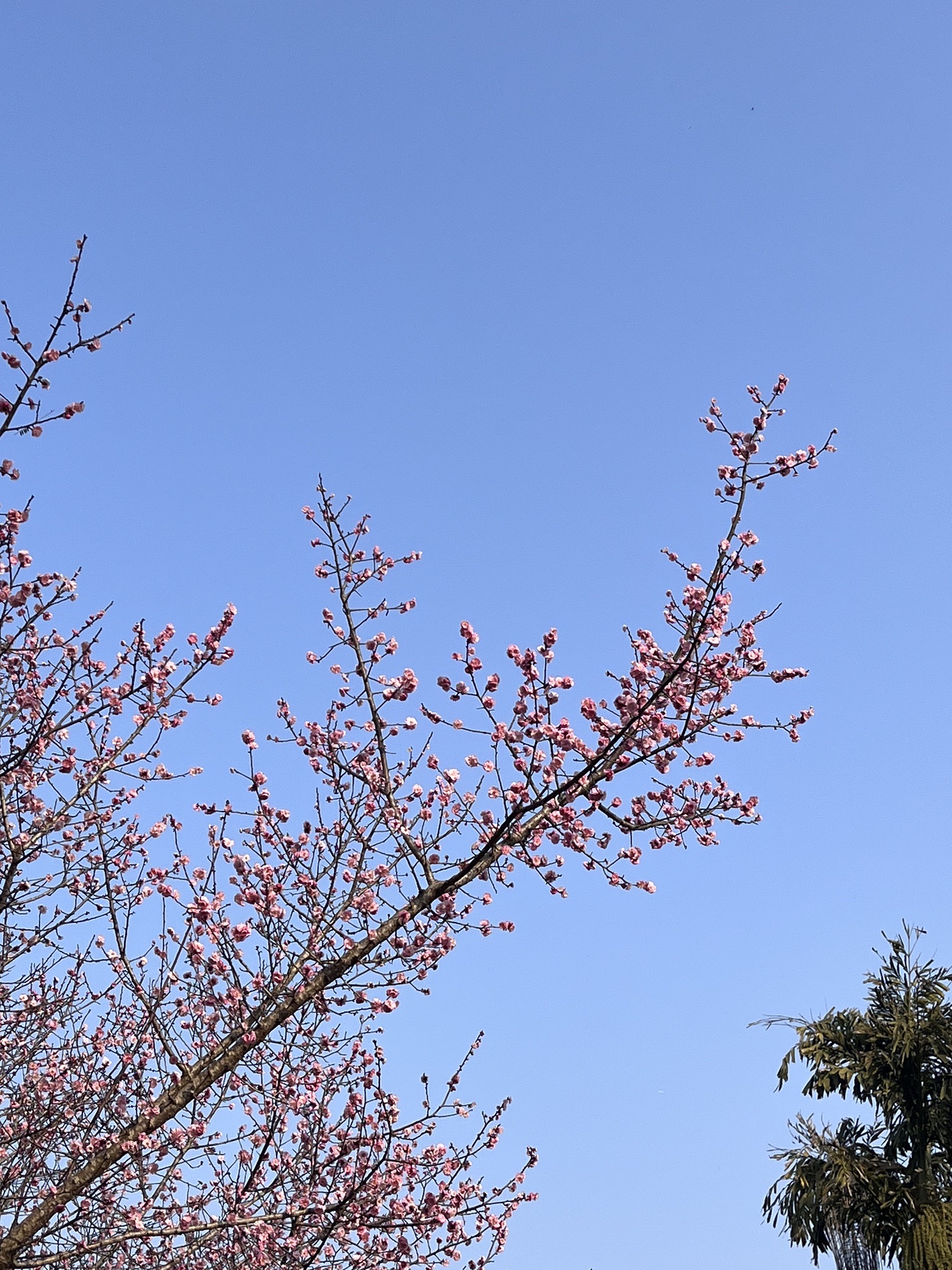 天府农耕·响水六坊风景区旅行图片 3