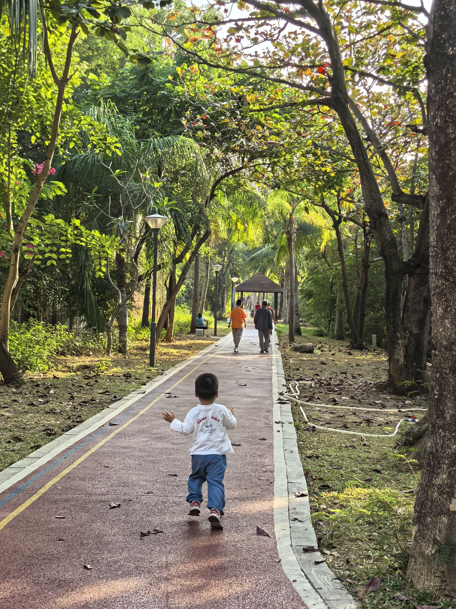临春河公园旅行图片 1