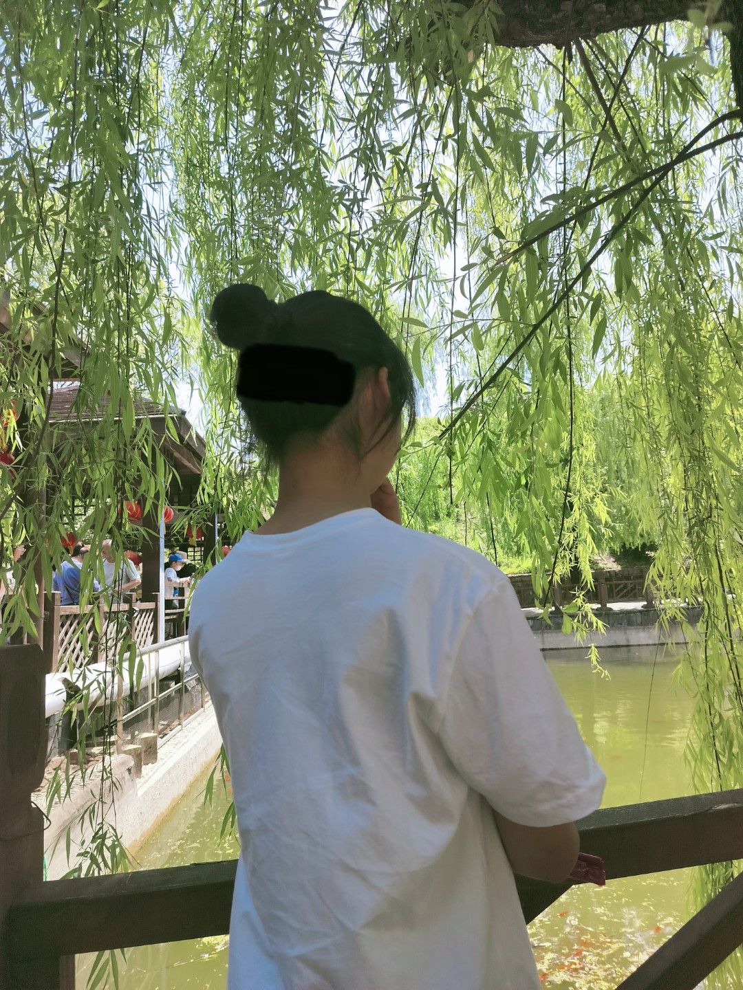 云水禅苑旅行图片 2