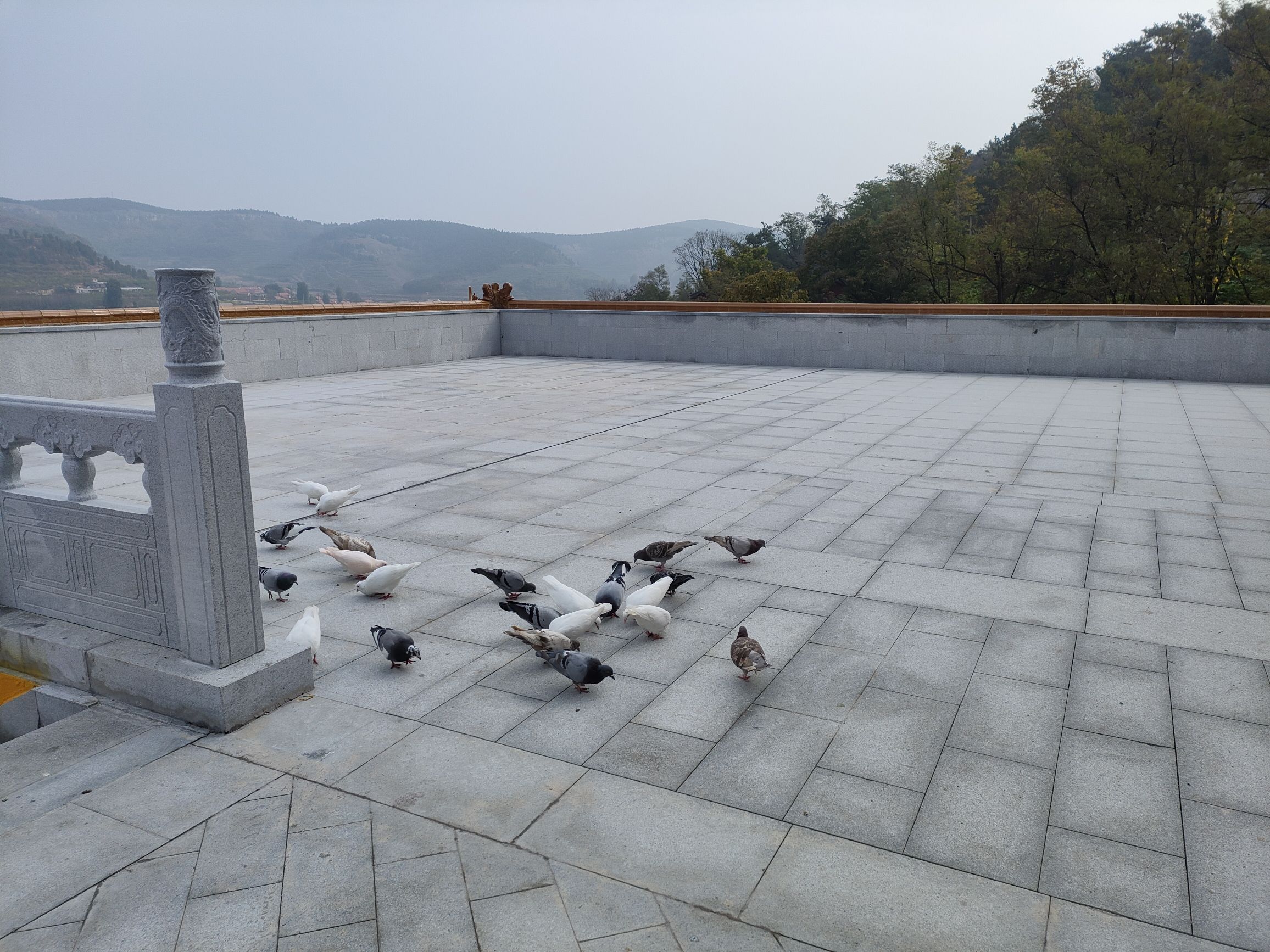 云水禅苑旅行图片 2