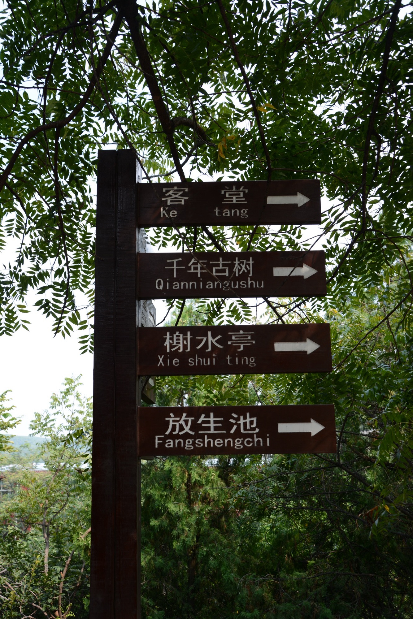 云水禅苑旅行图片 2