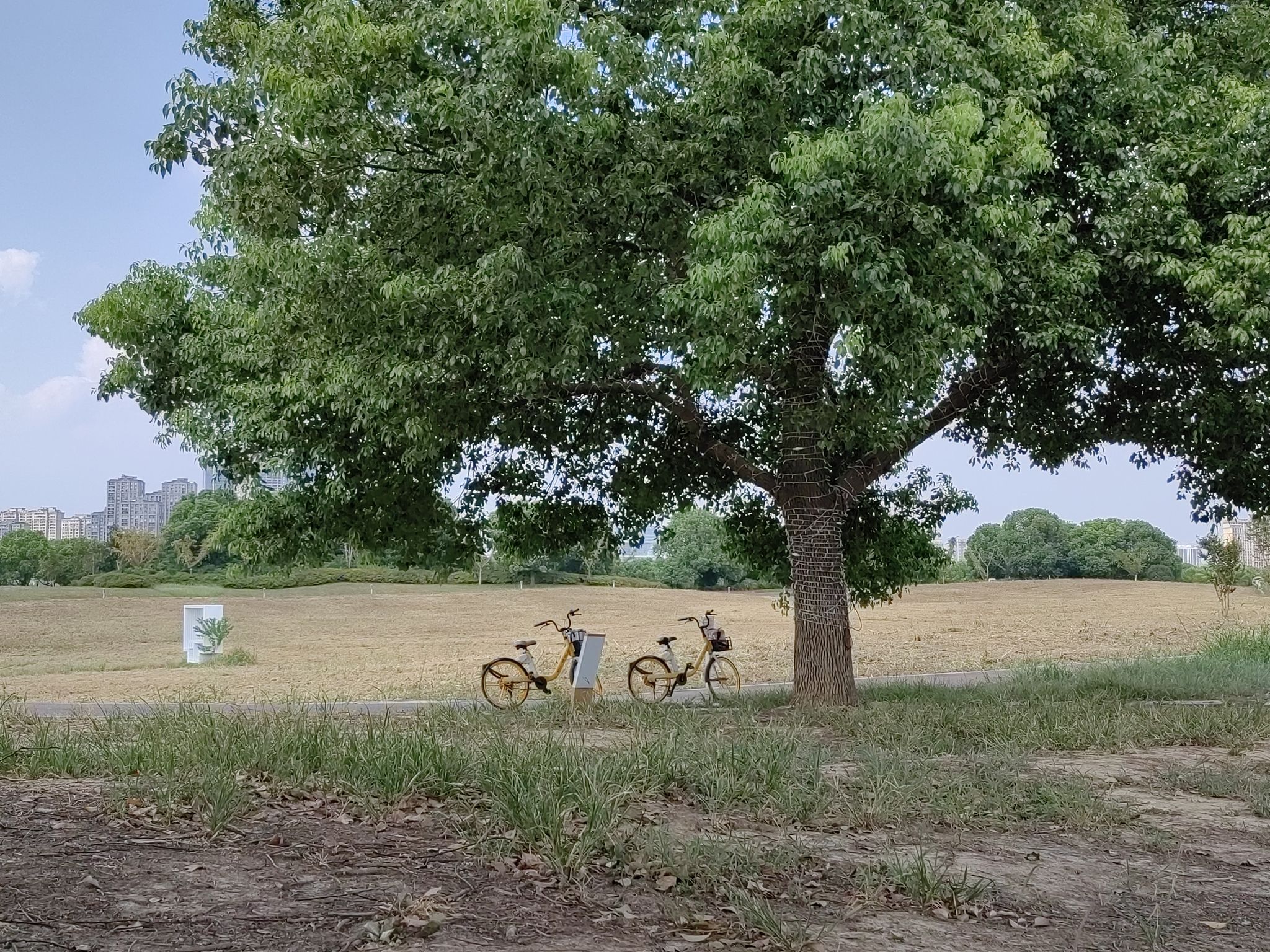 苏州湾体育公园旅行图片 2