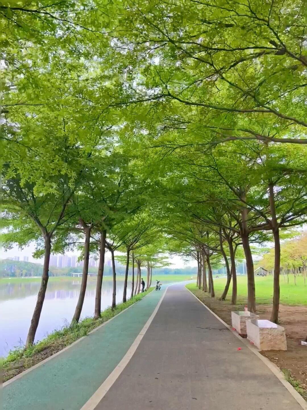 洲尾围湿地公园旅行图片 1