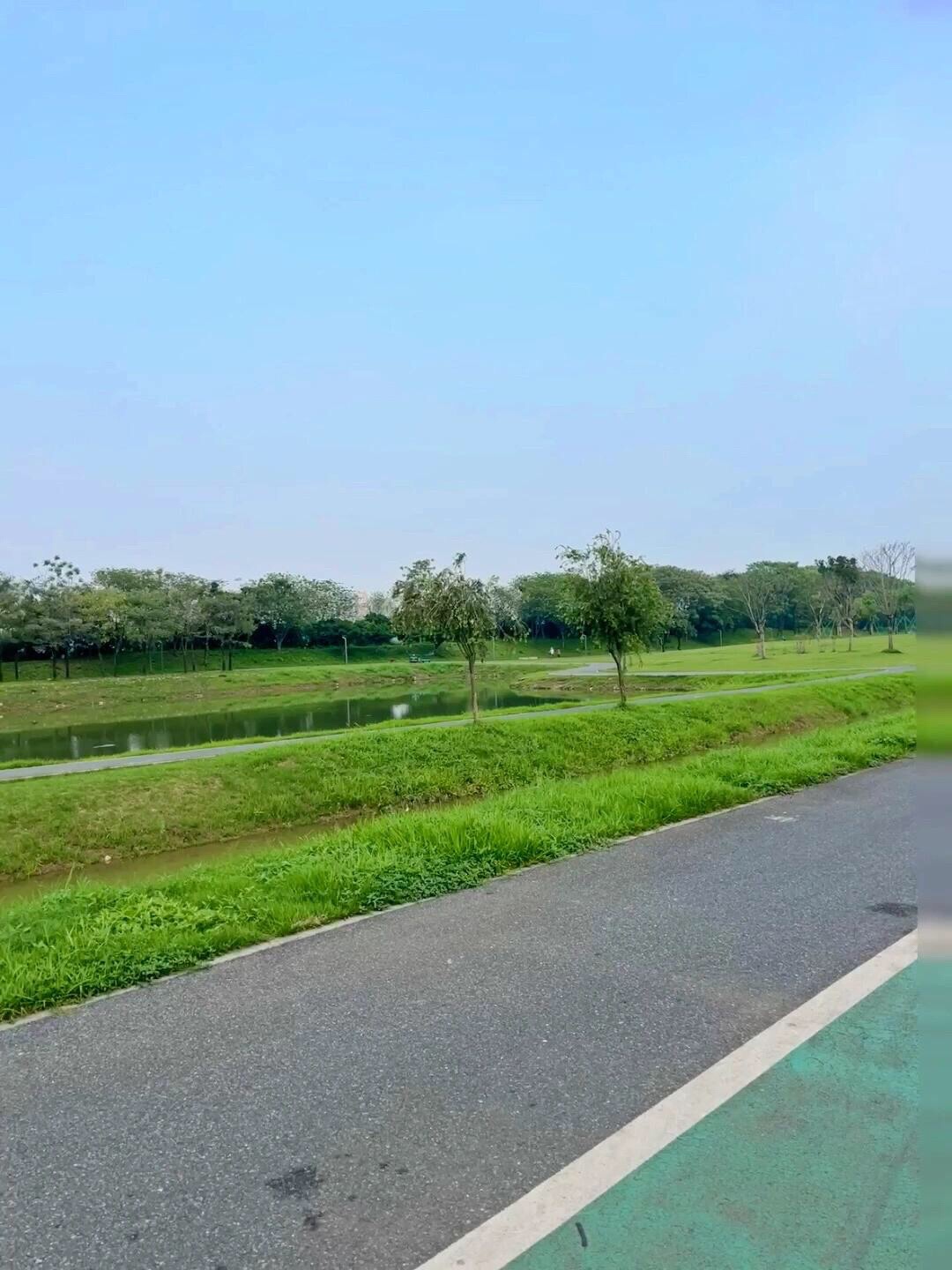 洲尾围湿地公园旅行图片 2