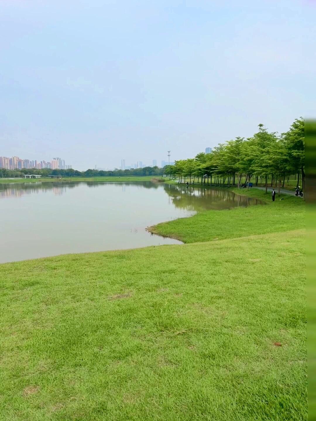 洲尾围湿地公园旅行图片 3