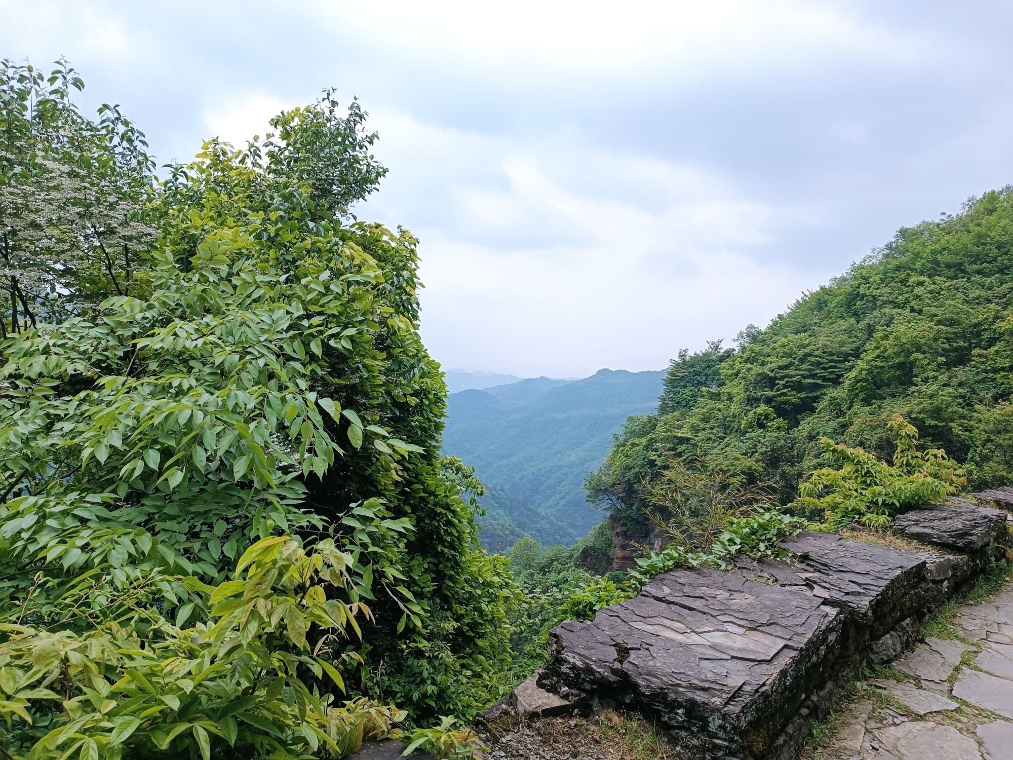 世界文化遗产海龙屯核心景区旅行图片 2