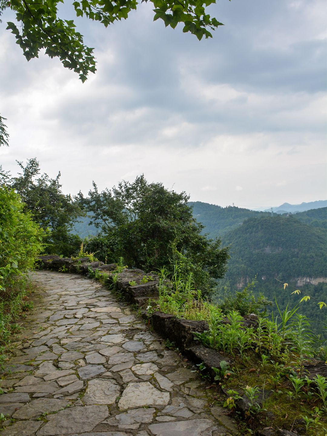 世界文化遗产海龙屯核心景区旅行图片 3