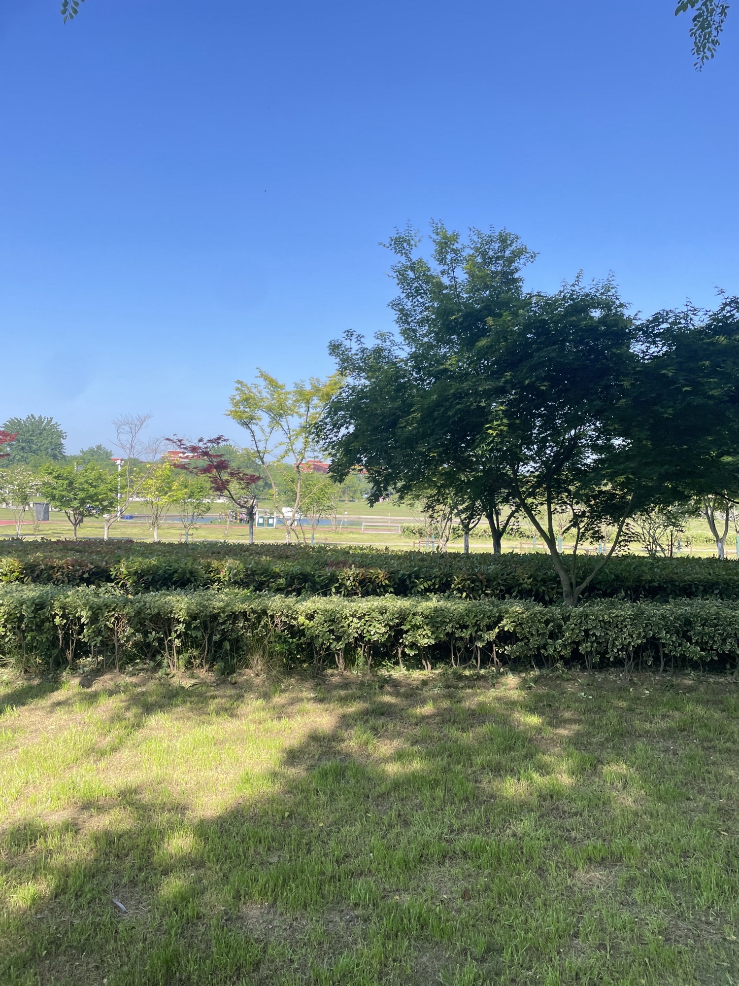 聚宝公园旅行图片 3