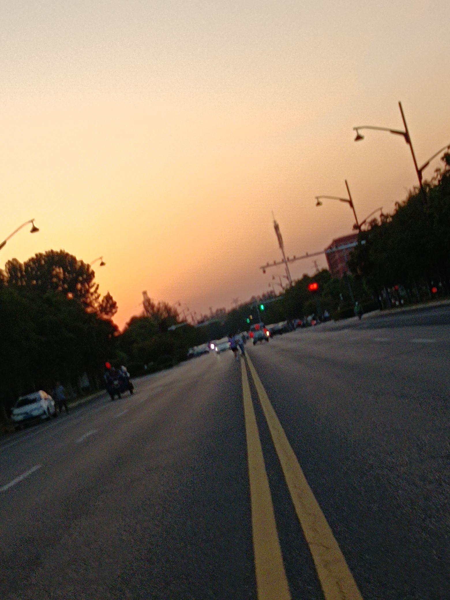 聚宝公园旅行图片 3