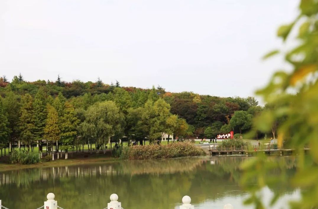 聚宝公园旅行图片 3