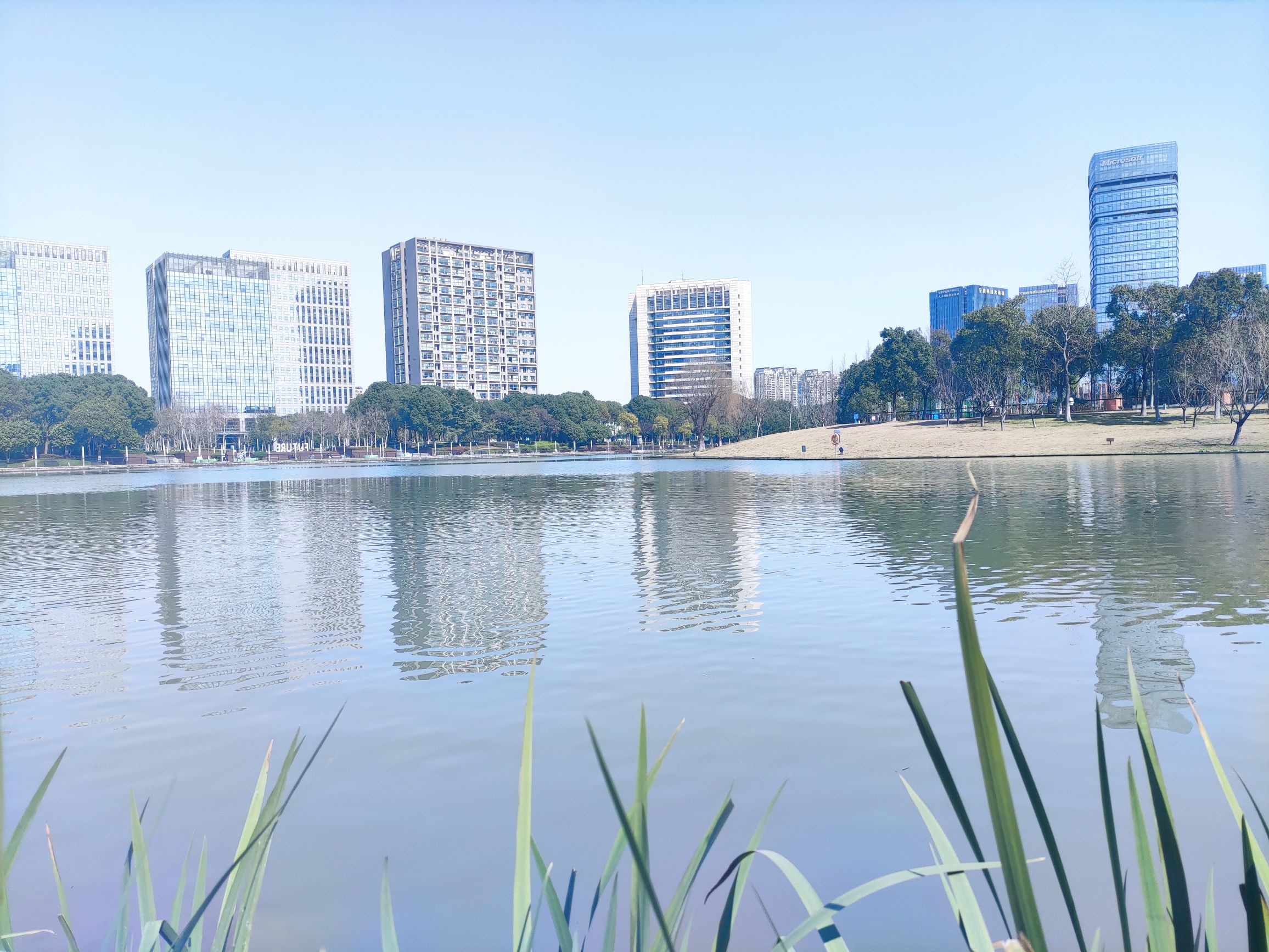 大东江公园旅行图片 1