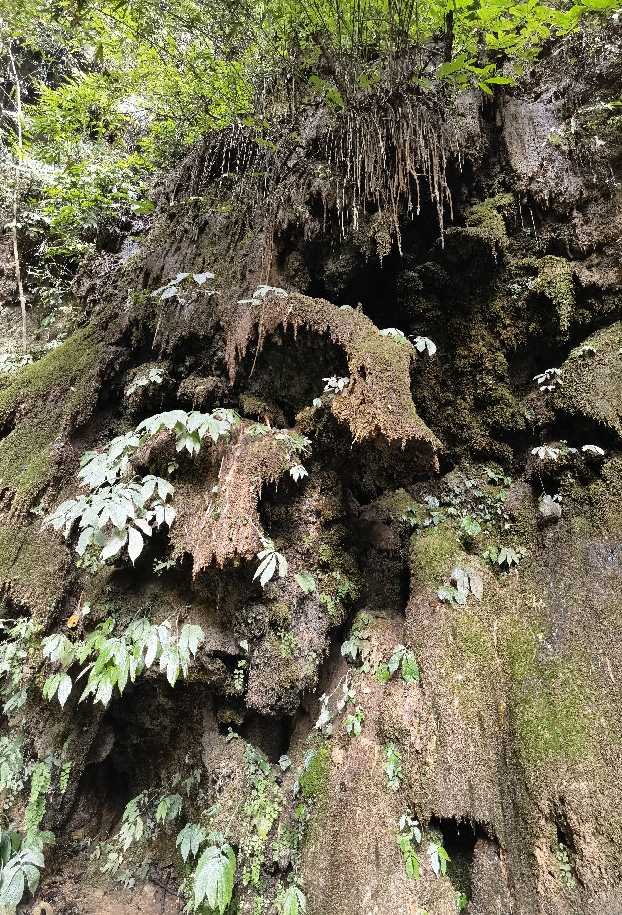 双门峡旅行图片 3