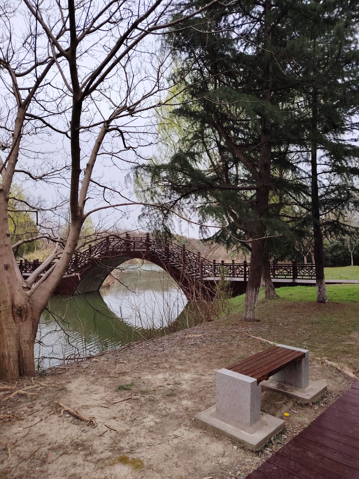 南湖湿地公园旅行图片 3