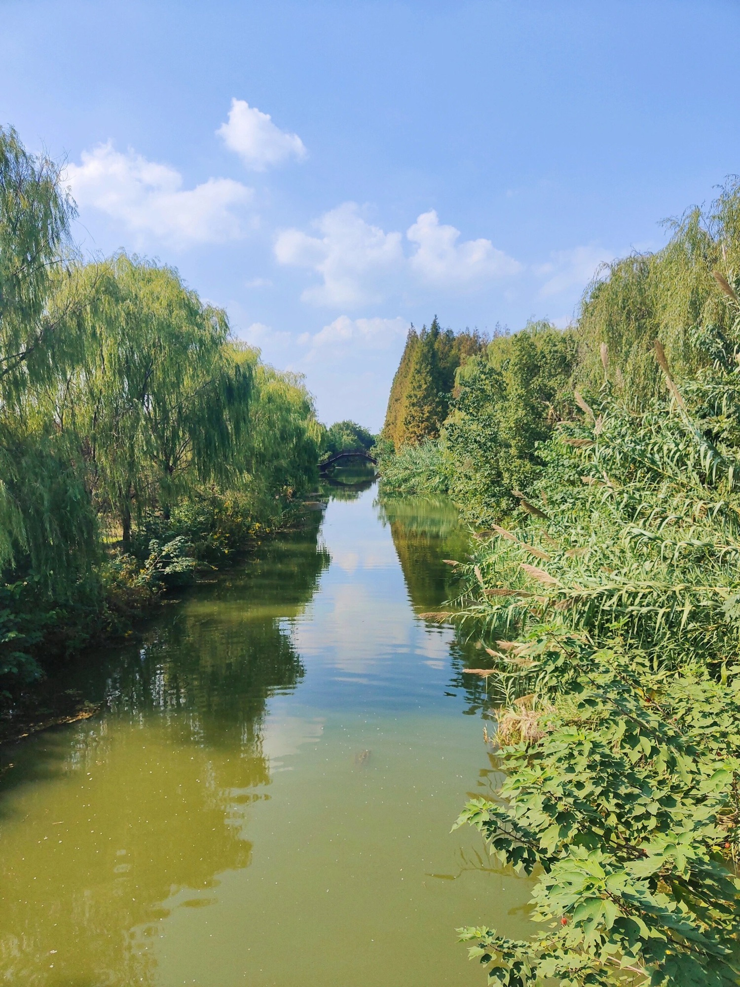 南湖湿地公园旅行图片 1