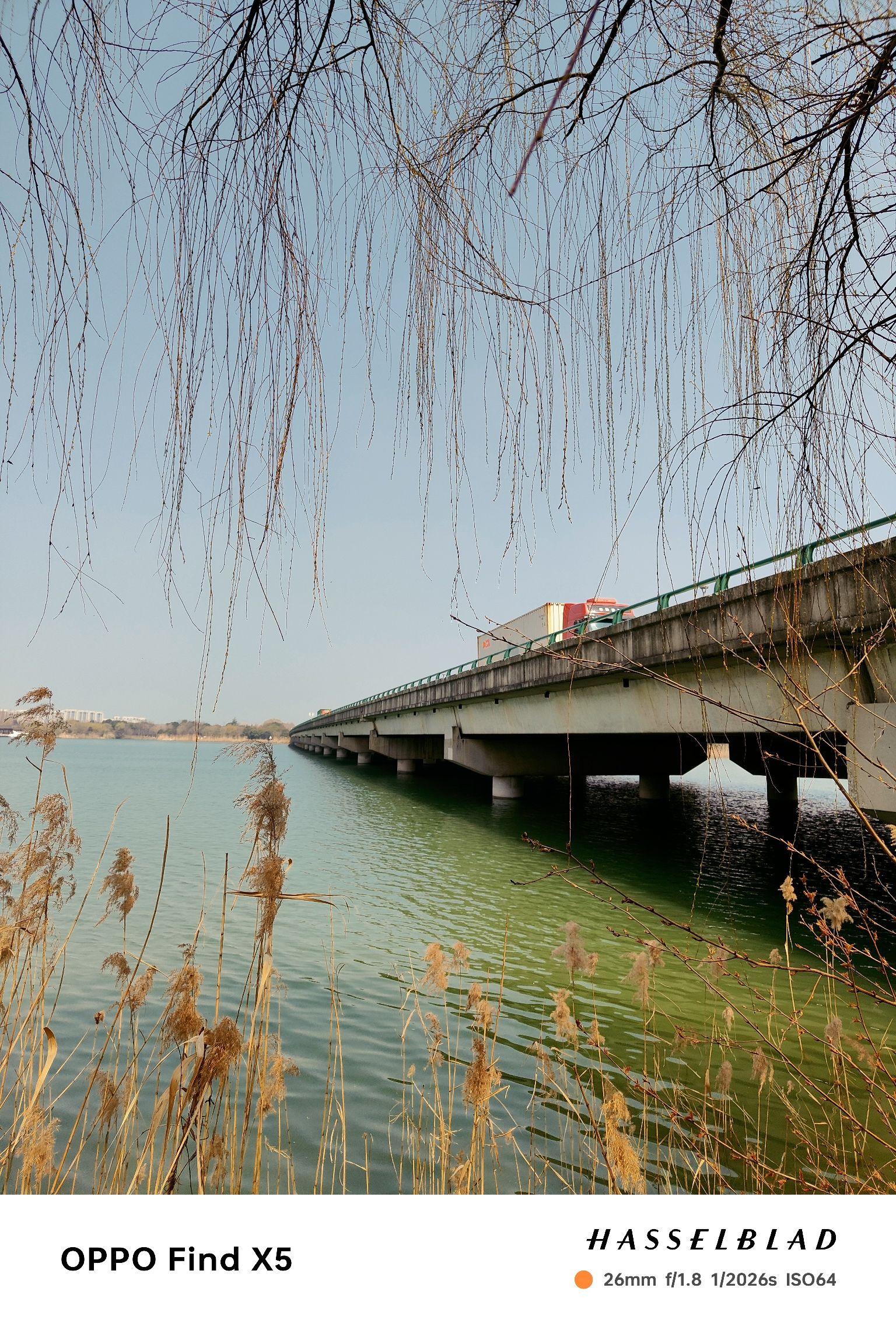 南湖湿地公园旅行图片 3