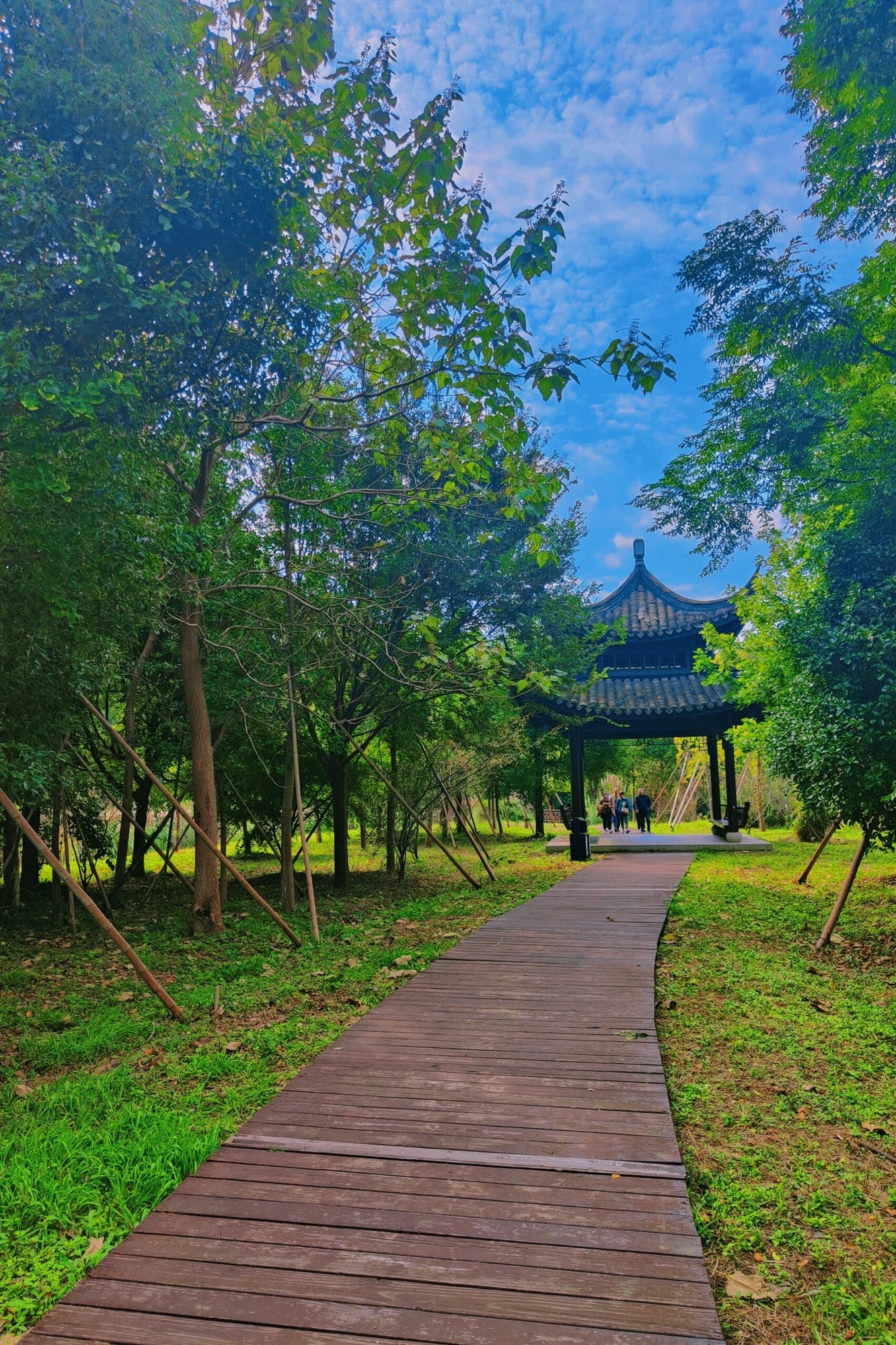 南湖湿地公园旅行图片 3