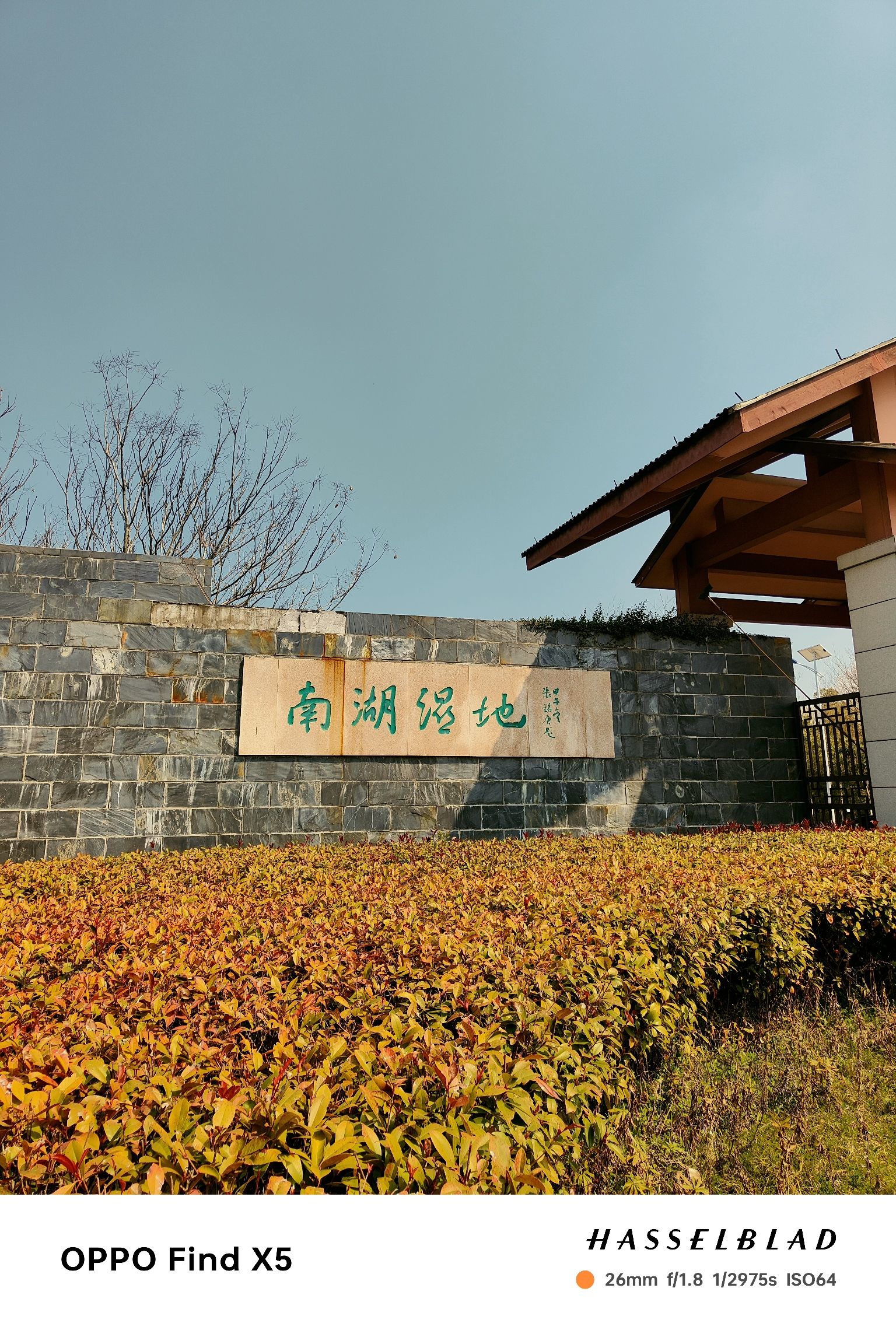 南湖湿地公园旅行图片 1