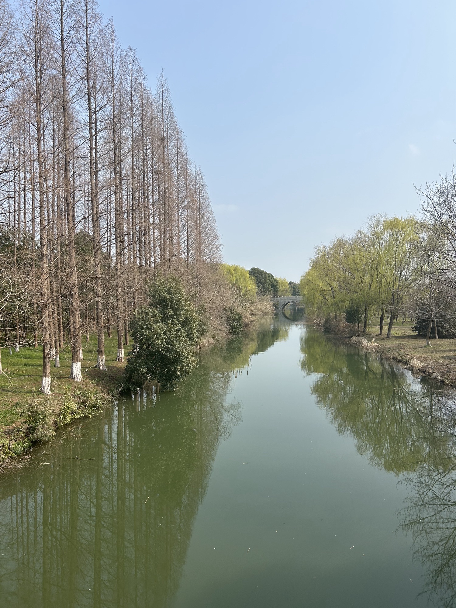 南湖湿地公园旅行图片 1