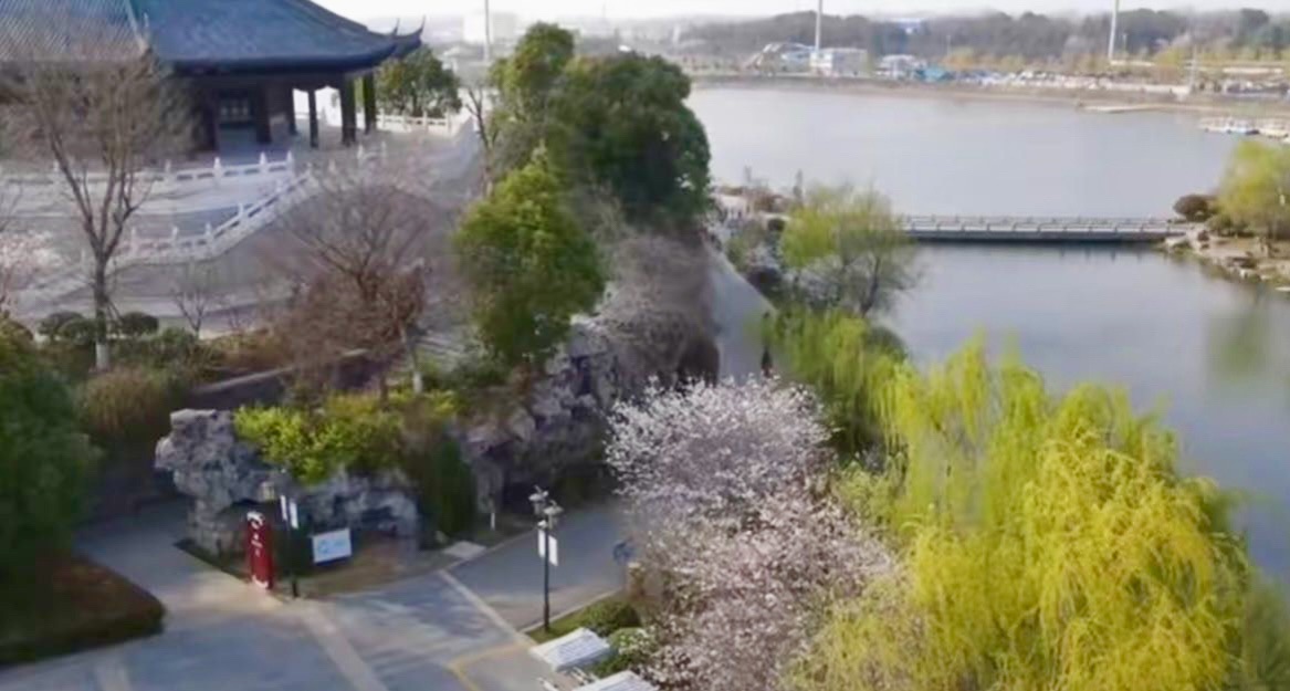 泗阳县黄河故道湿地风景区旅行图片 2