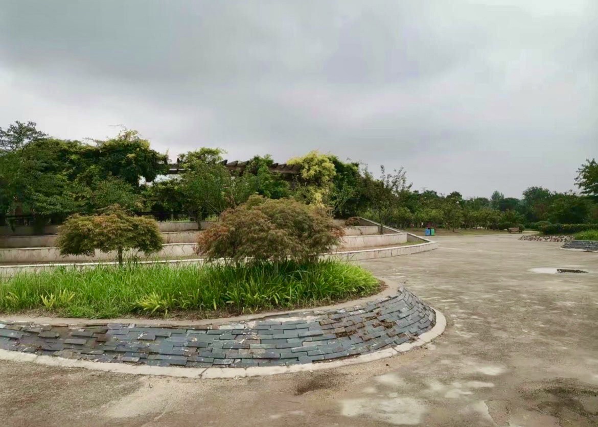 泗阳县黄河故道湿地风景区旅行图片 1