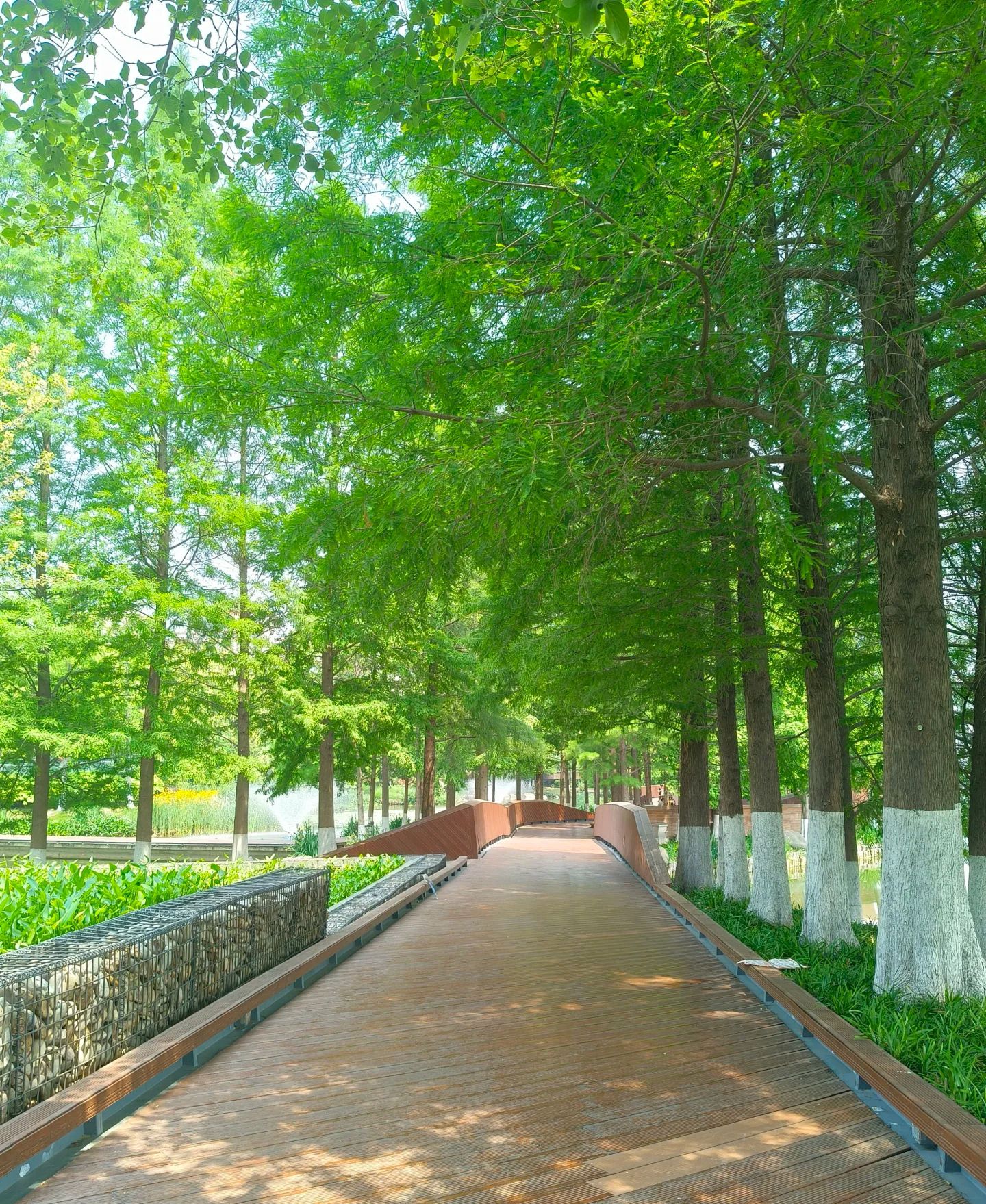 泗阳县黄河故道湿地风景区