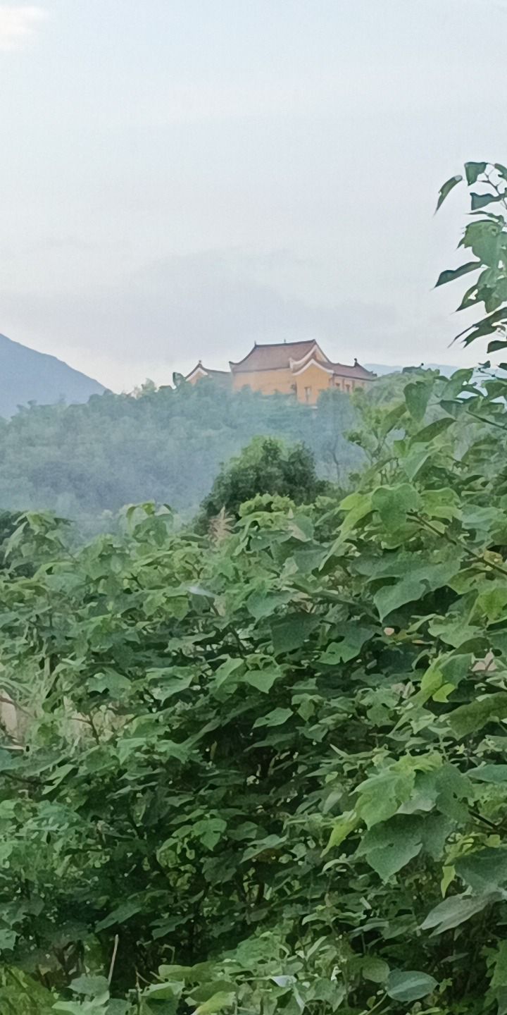 鹿仙庵