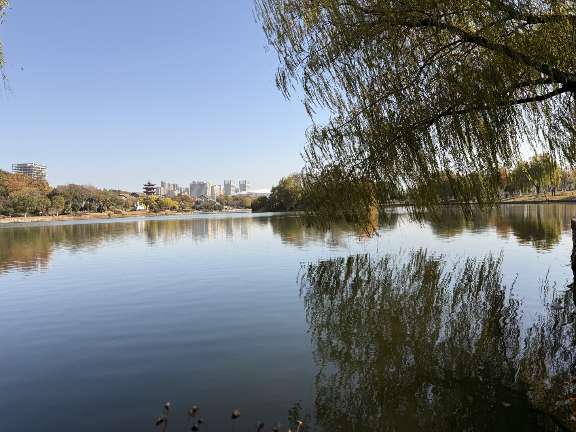 码头潭文化遗址公园旅行图片 2
