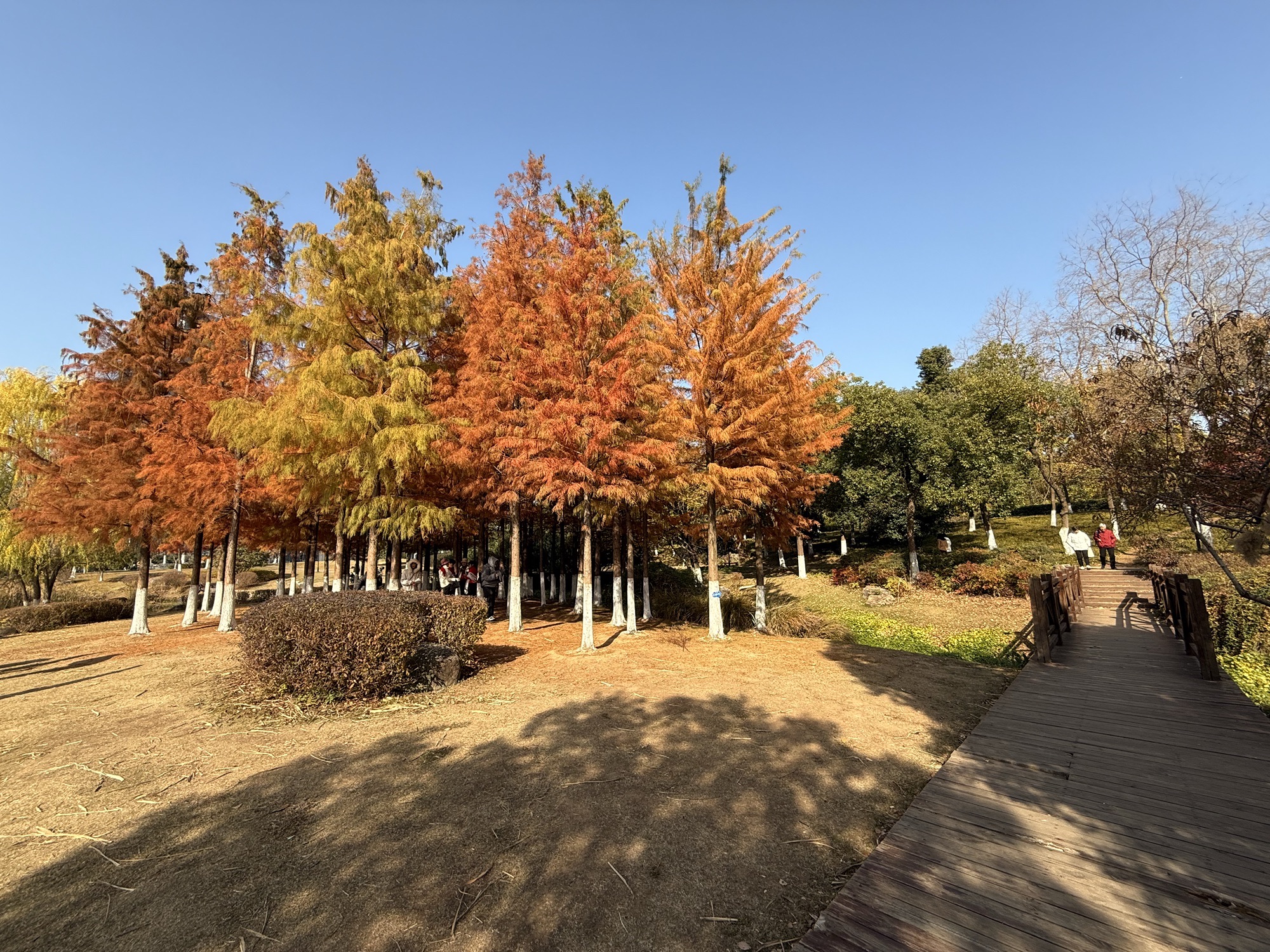 码头潭文化遗址公园旅行图片 1