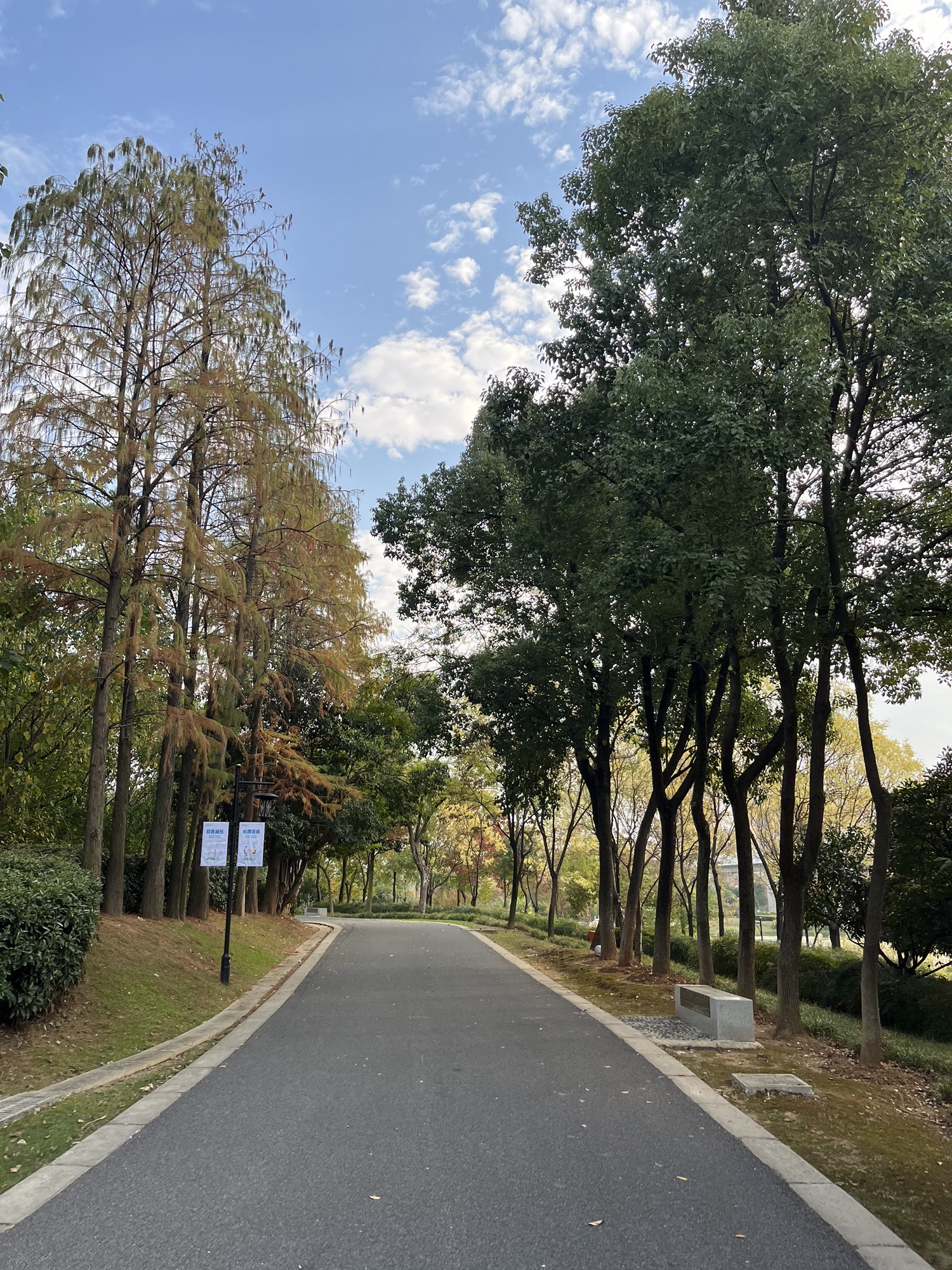 码头潭文化遗址公园旅行图片 3