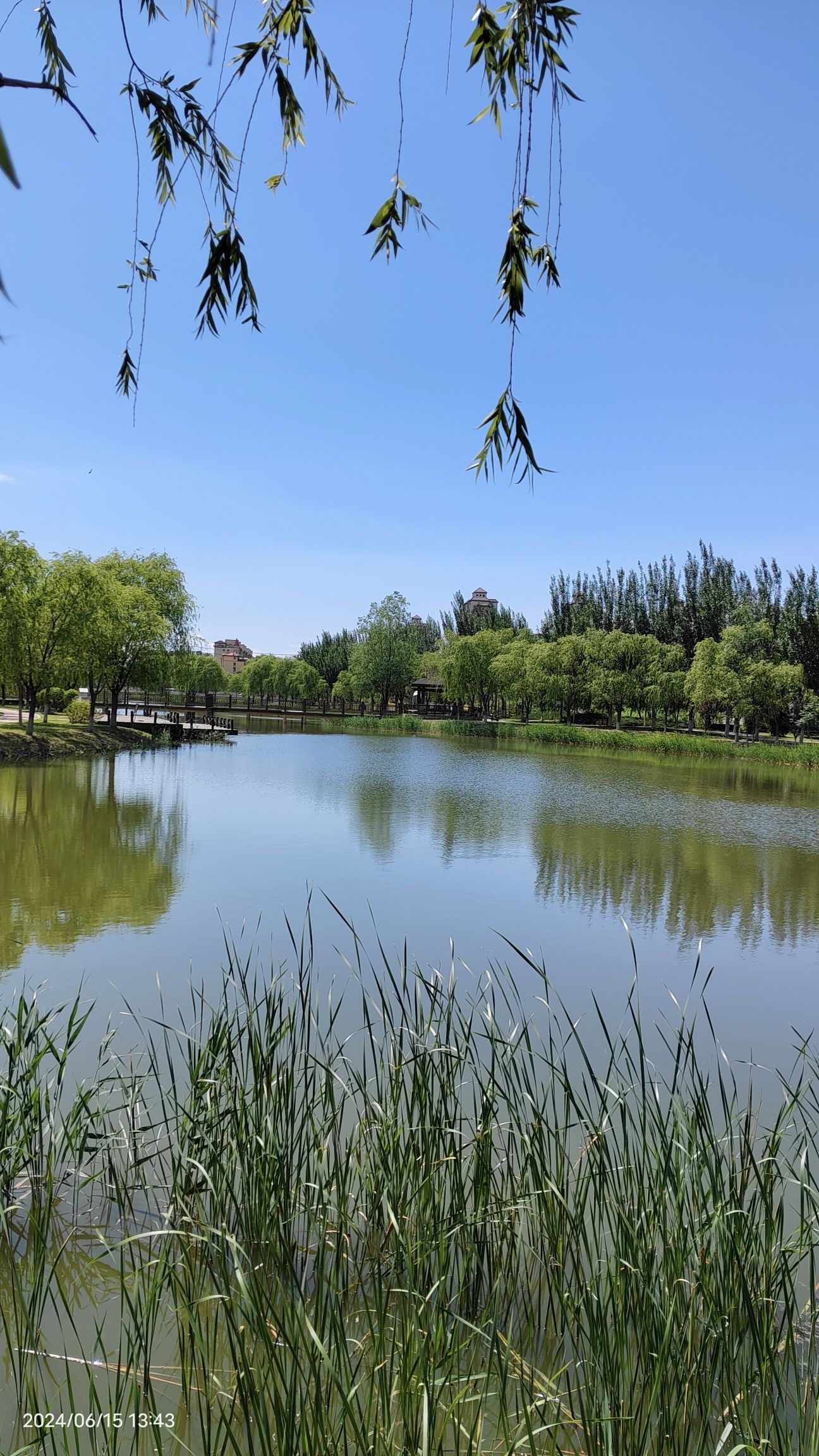 生态滨湖公园旅行图片 1
