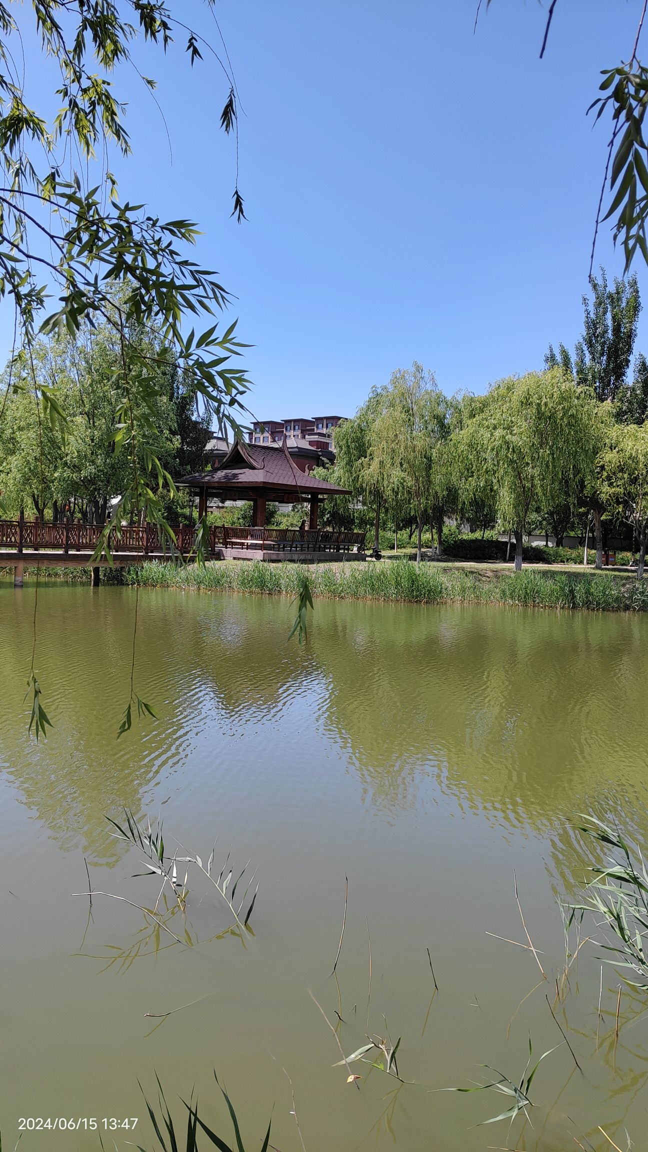 生态滨湖公园旅行图片 2