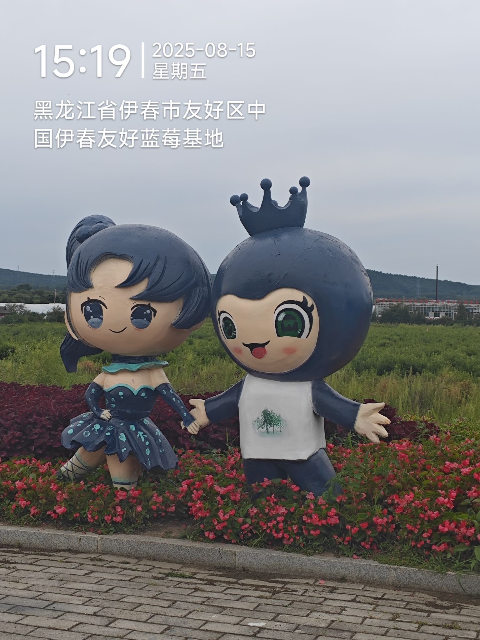 中国伊春友好蓝莓基地