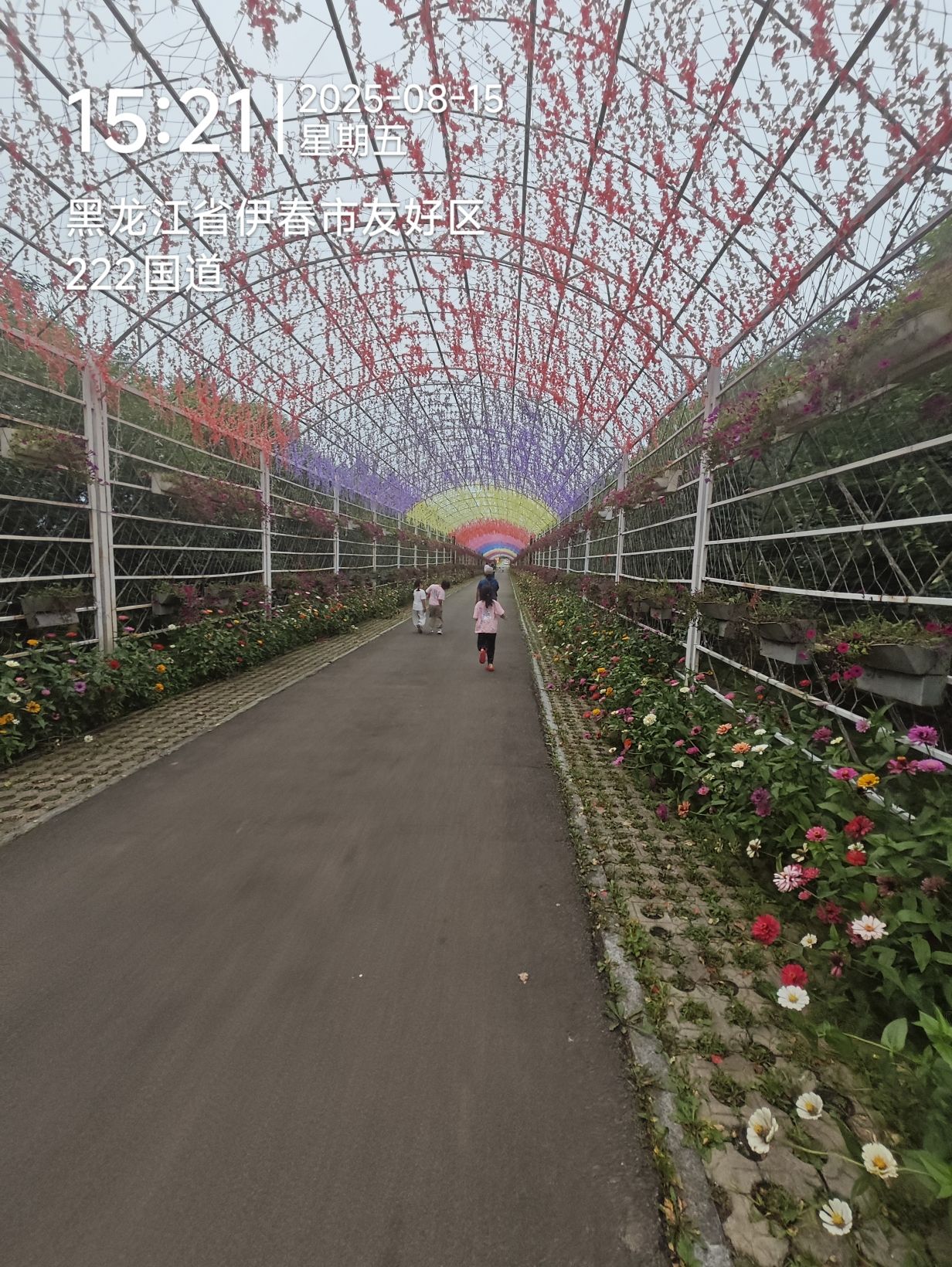 中国伊春友好蓝莓基地