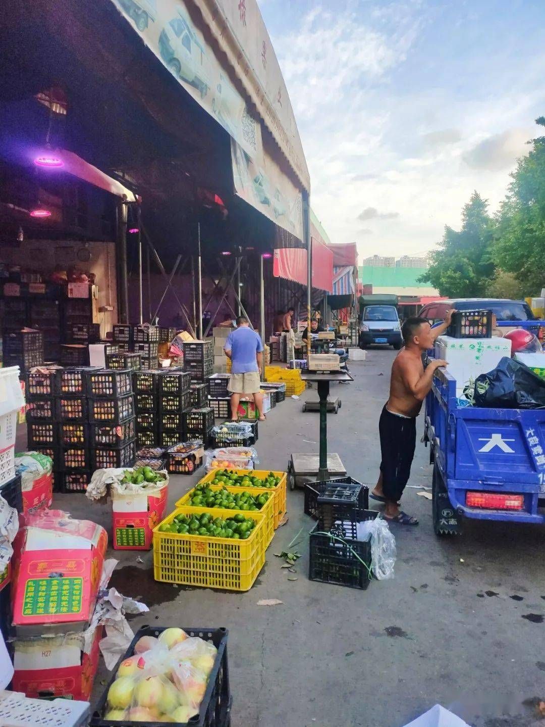 顺德水果批发